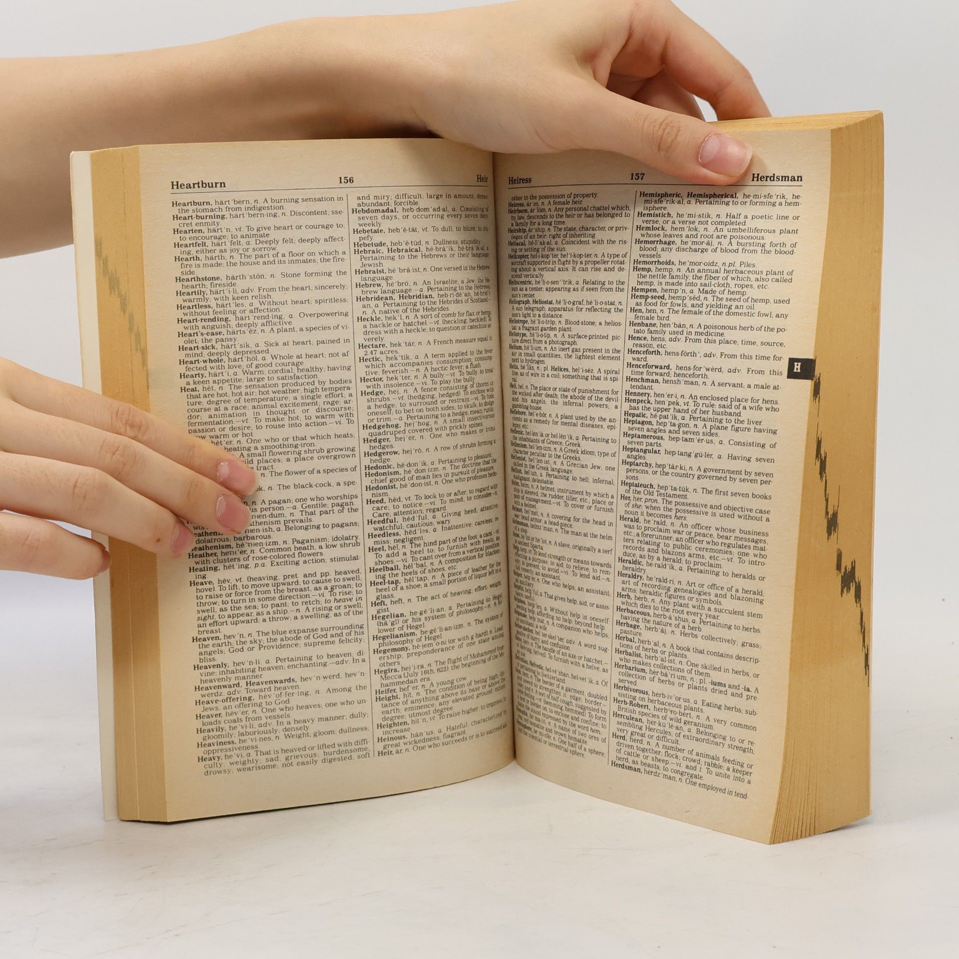 R. F. Petterson New Webster's Expanded Dictionary