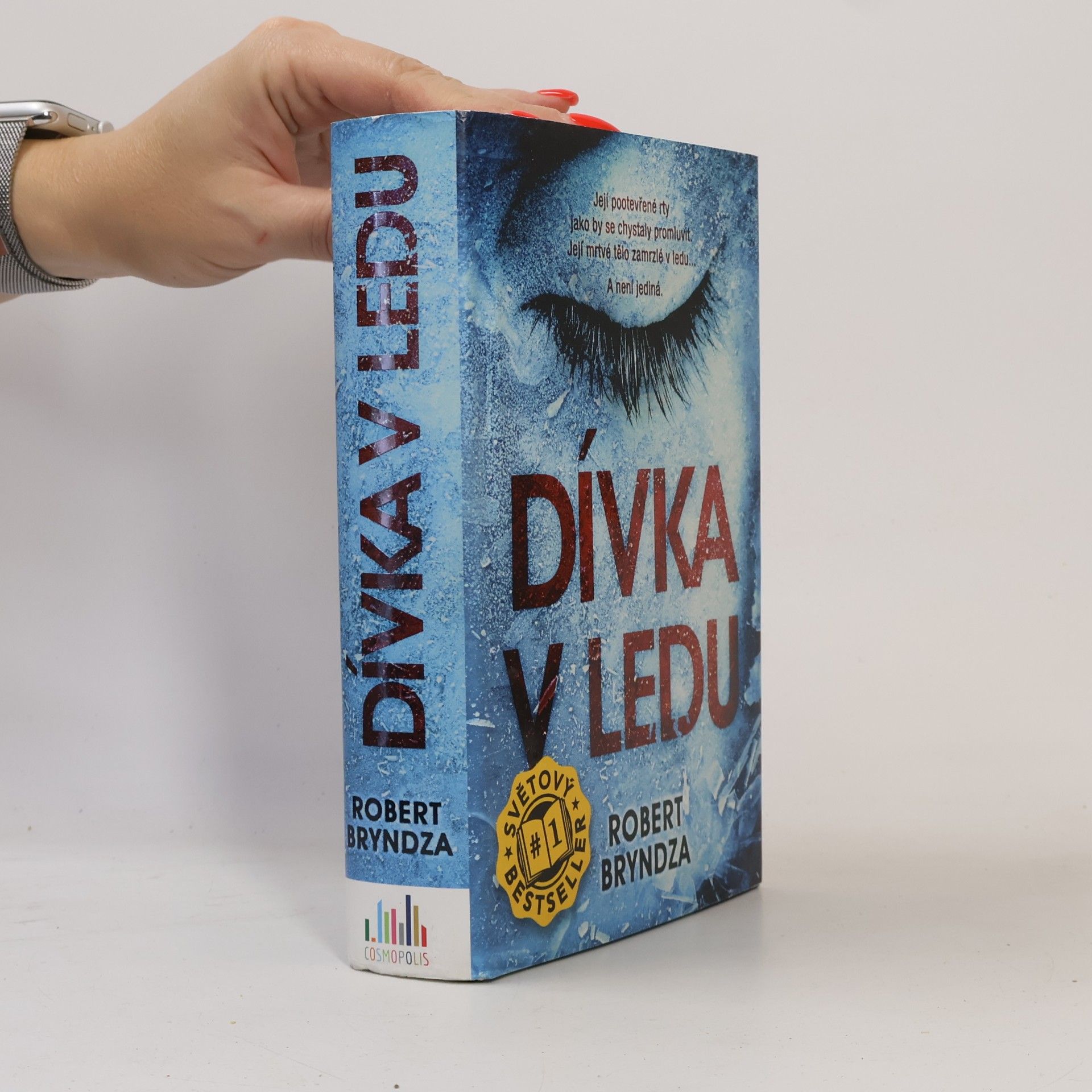 Robert Bryndza Dívka v ledu