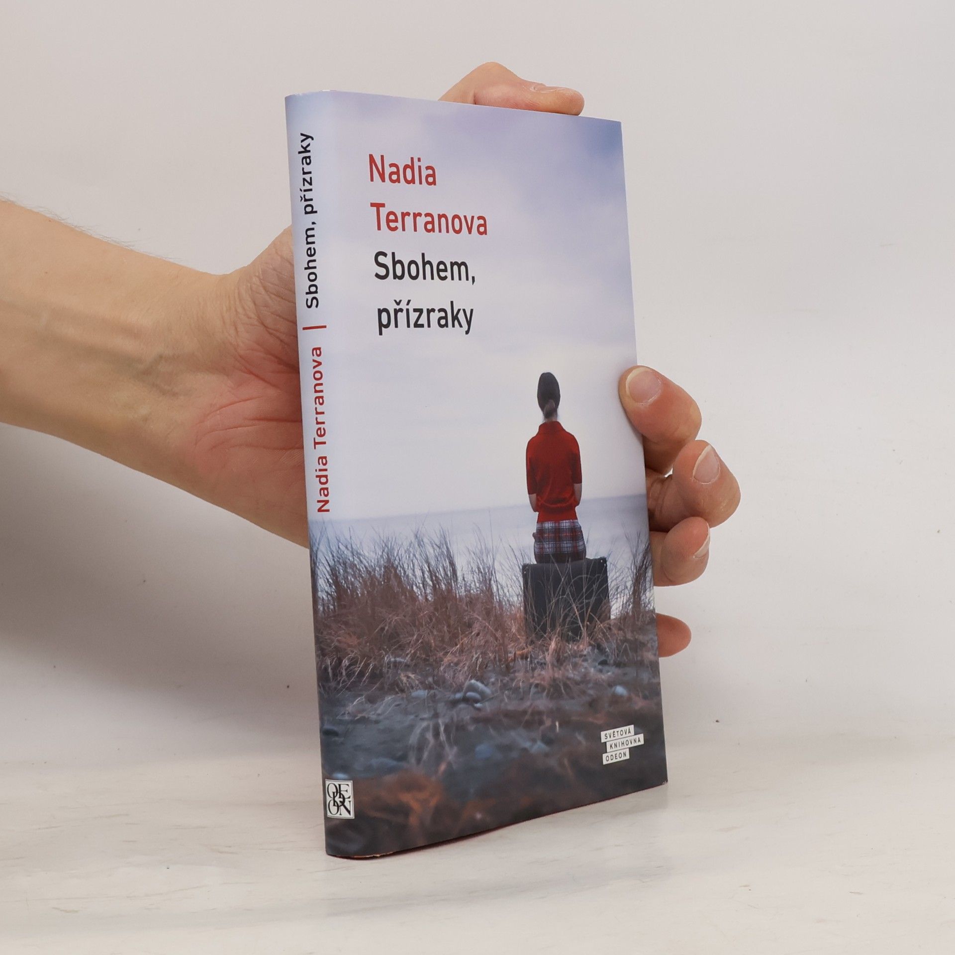 Nadia Terranova Sbohem, přízraky