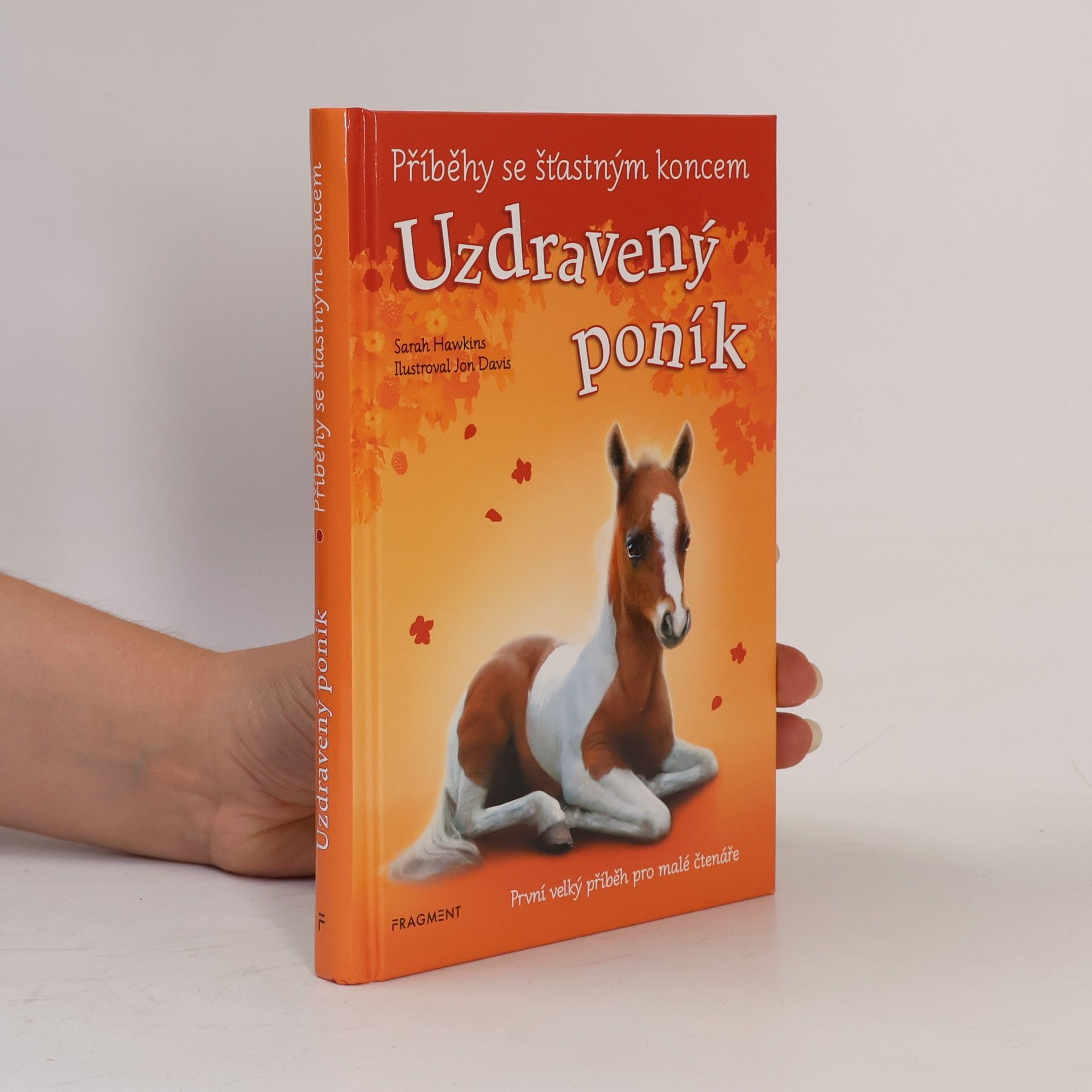 Sarah Hawkins Uzdravený poník