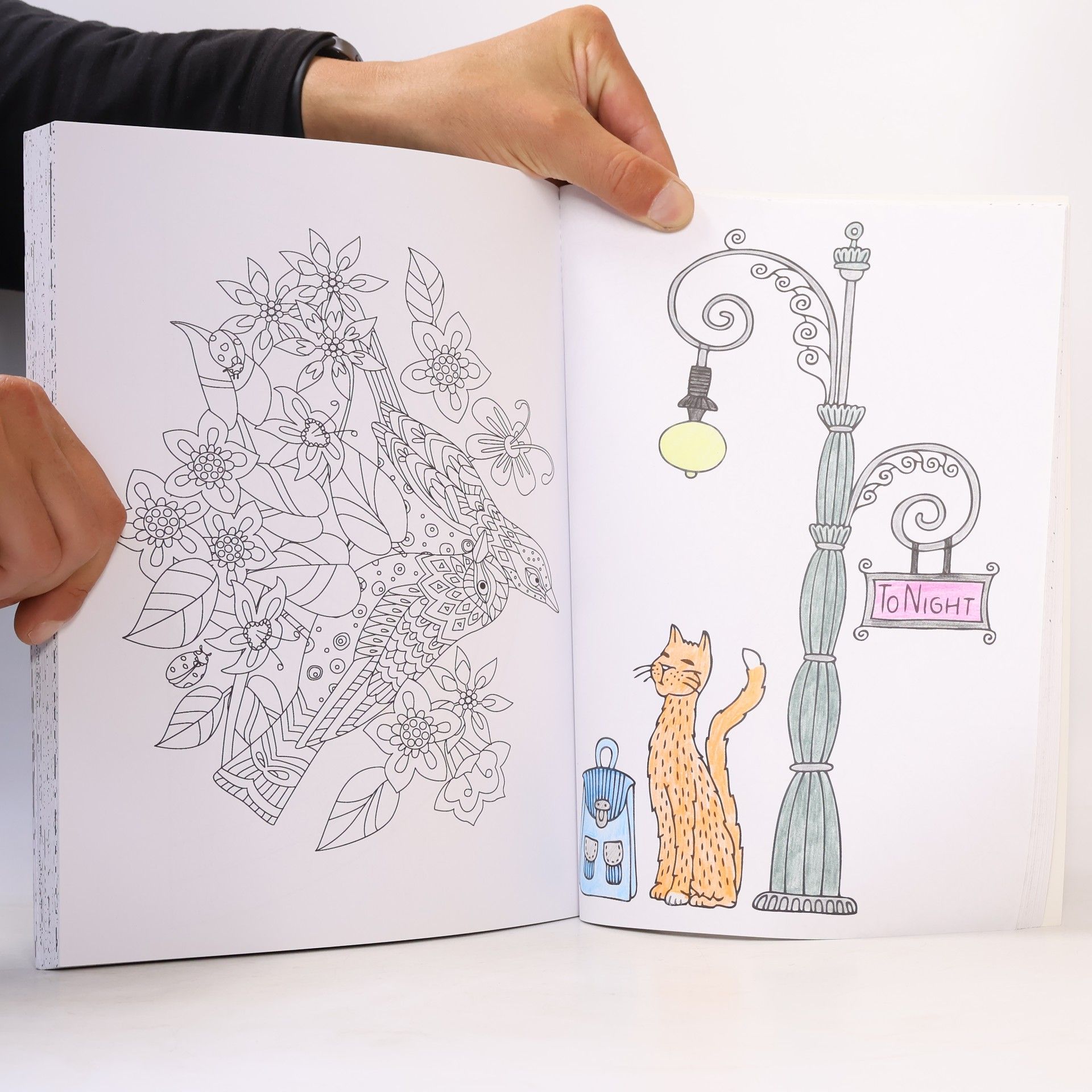 Autorenkollektiv Adult Colouring Book
