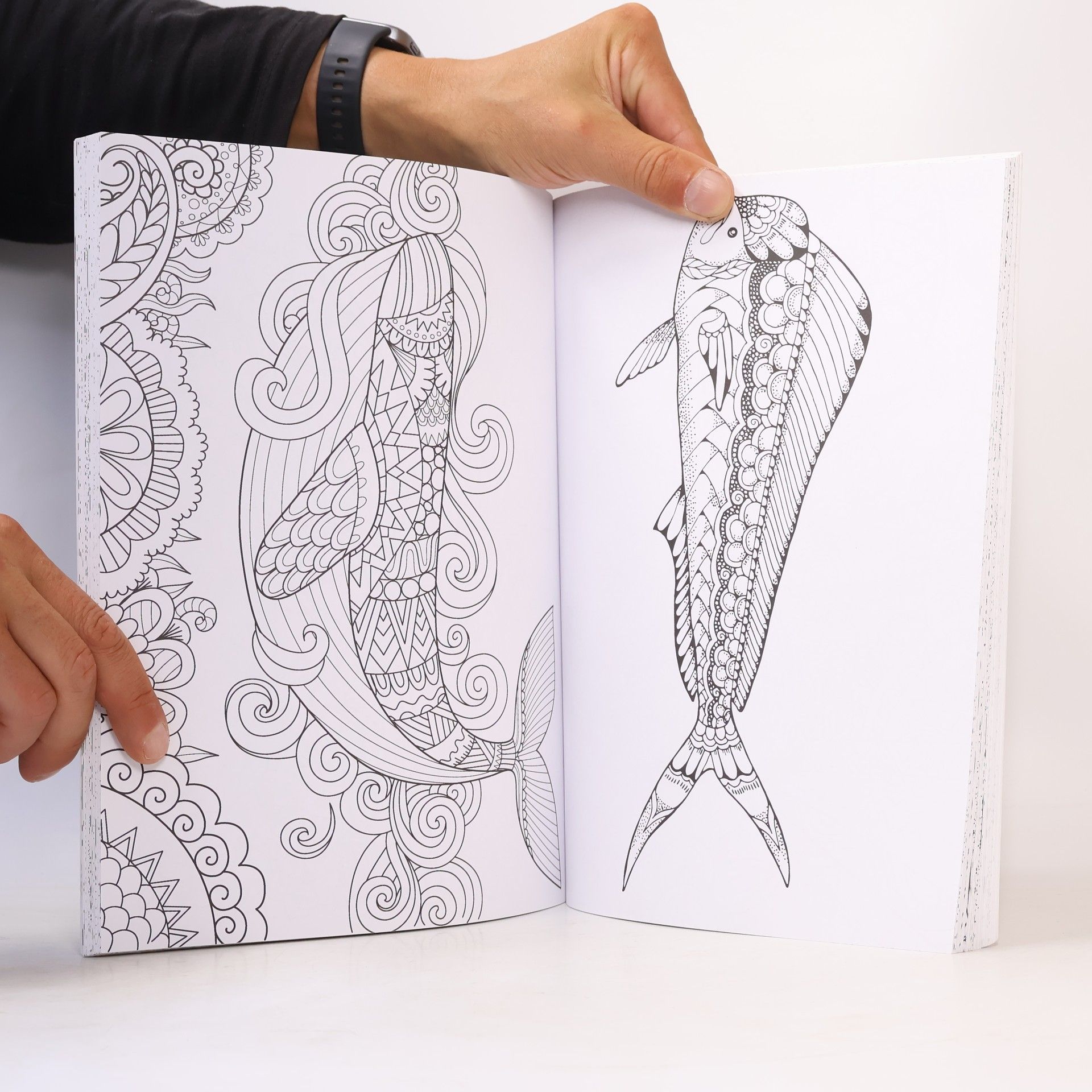 Autorenkollektiv Adult Colouring Book