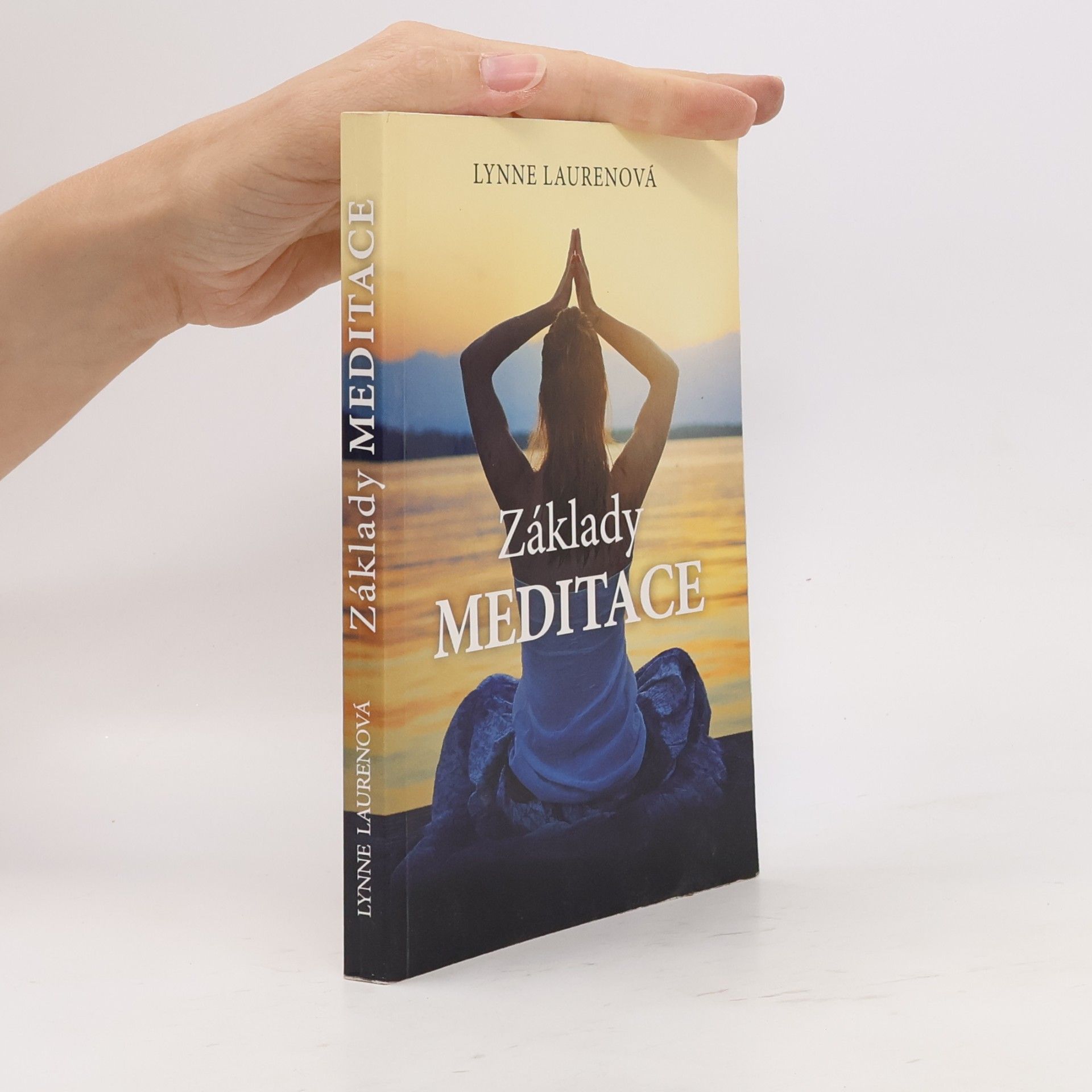 Lynne Lauren Základy meditace