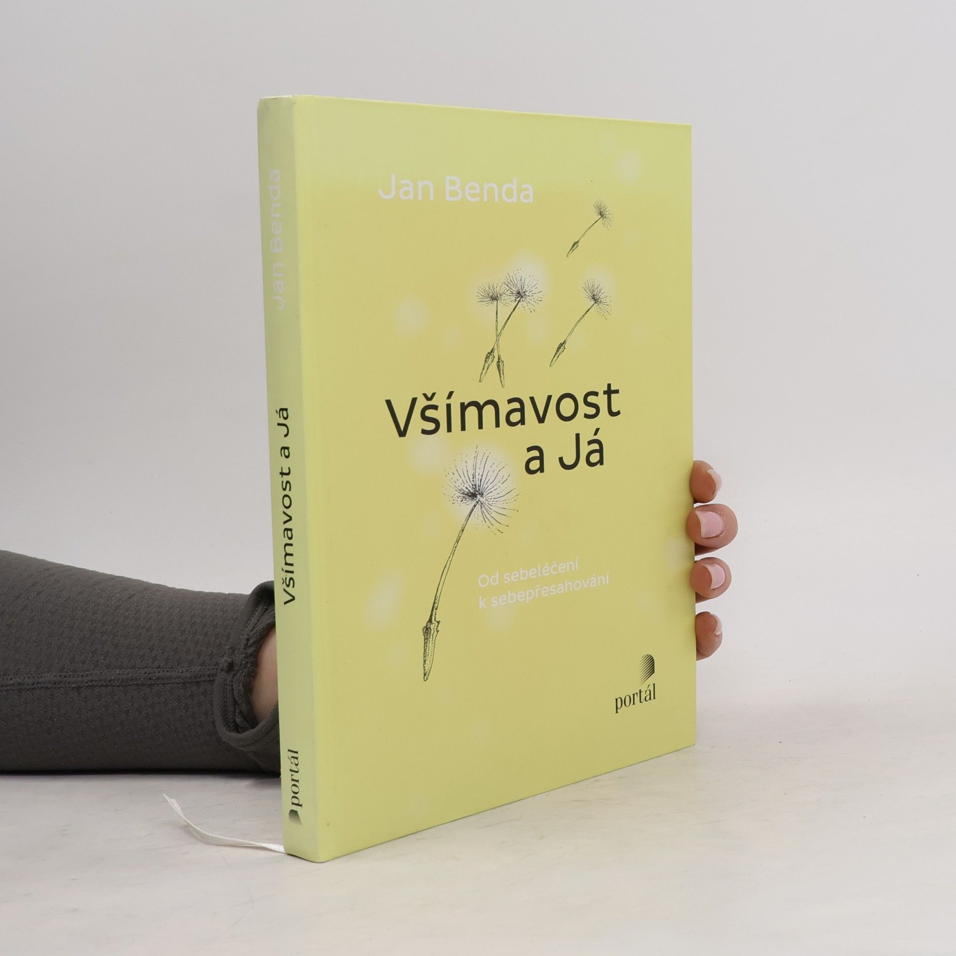 Jan Benda Všímavost a já. Od sebeléčení k sebepřesahování