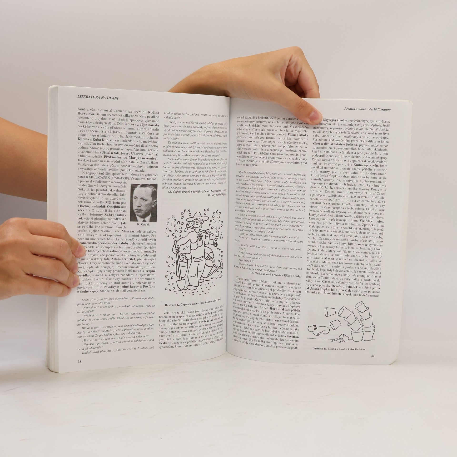 Alois Bauer Literatura na dlani : přehled světové a české literatury s ukázkami textů