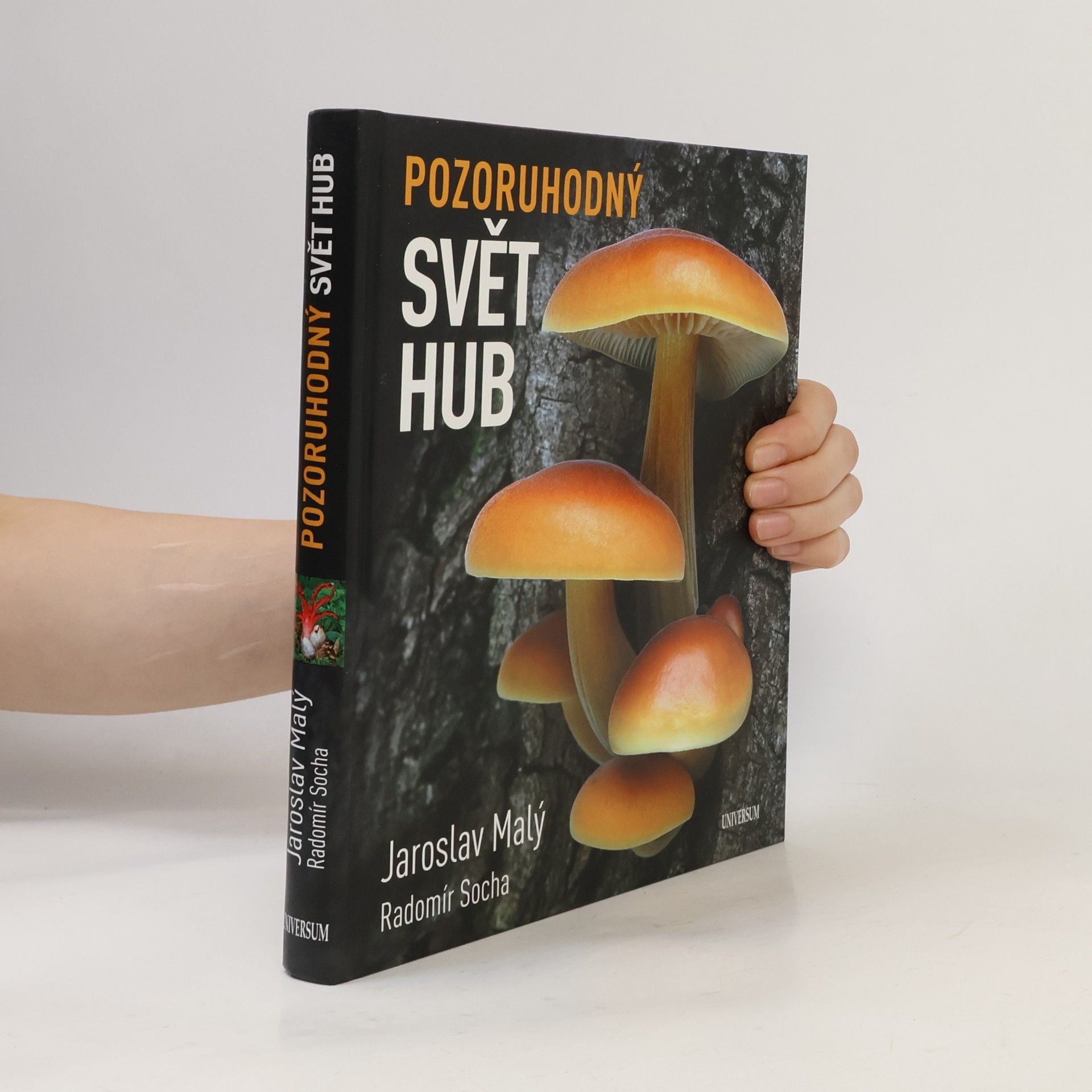 Radomír Socha Pozoruhodný svět hub