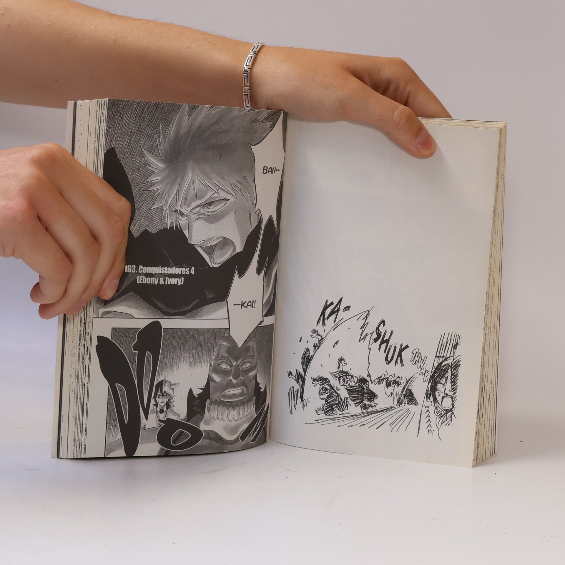 Tite Kubo Bleach, Vol. 22: Conquistadores