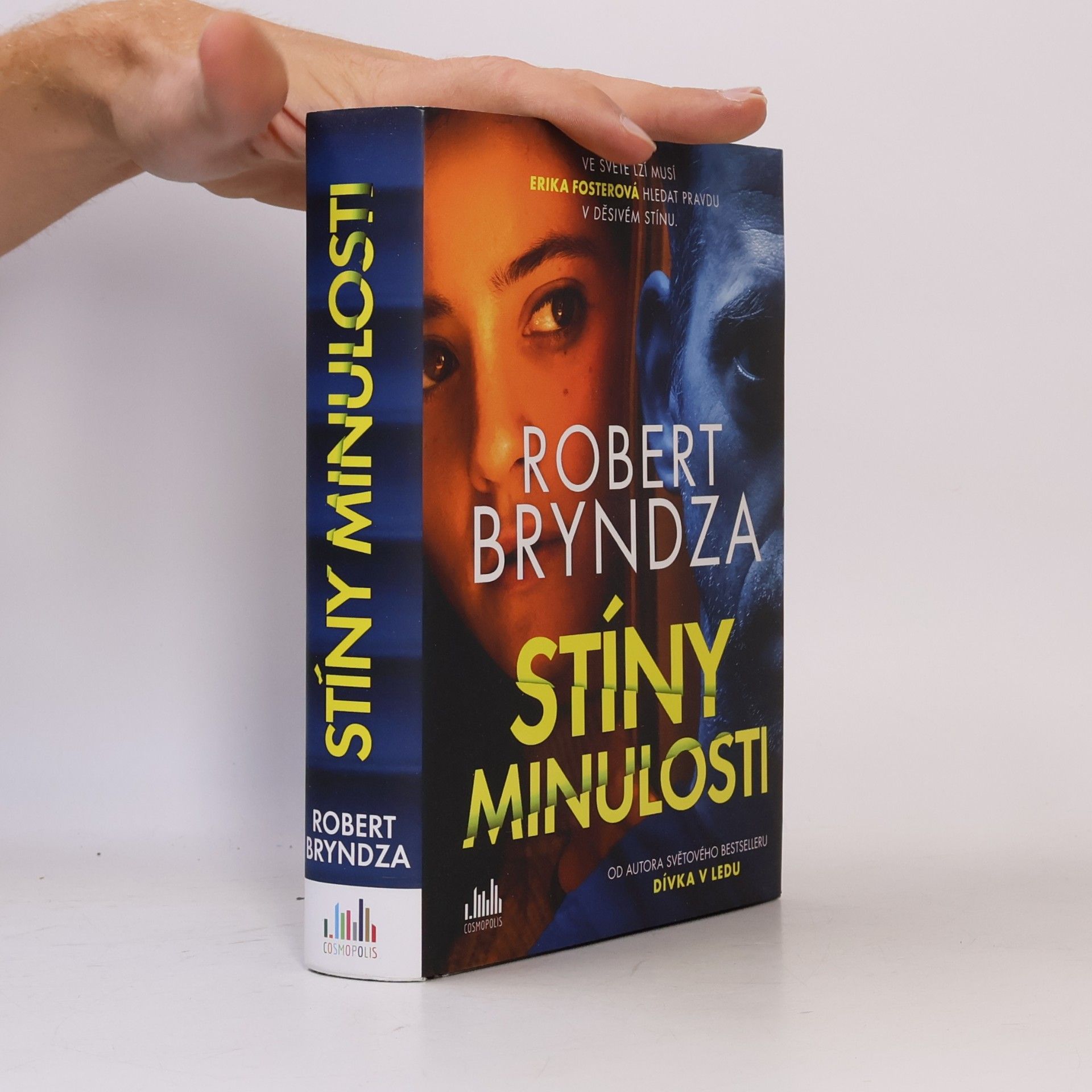 Robert Bryndza Stíny minulosti