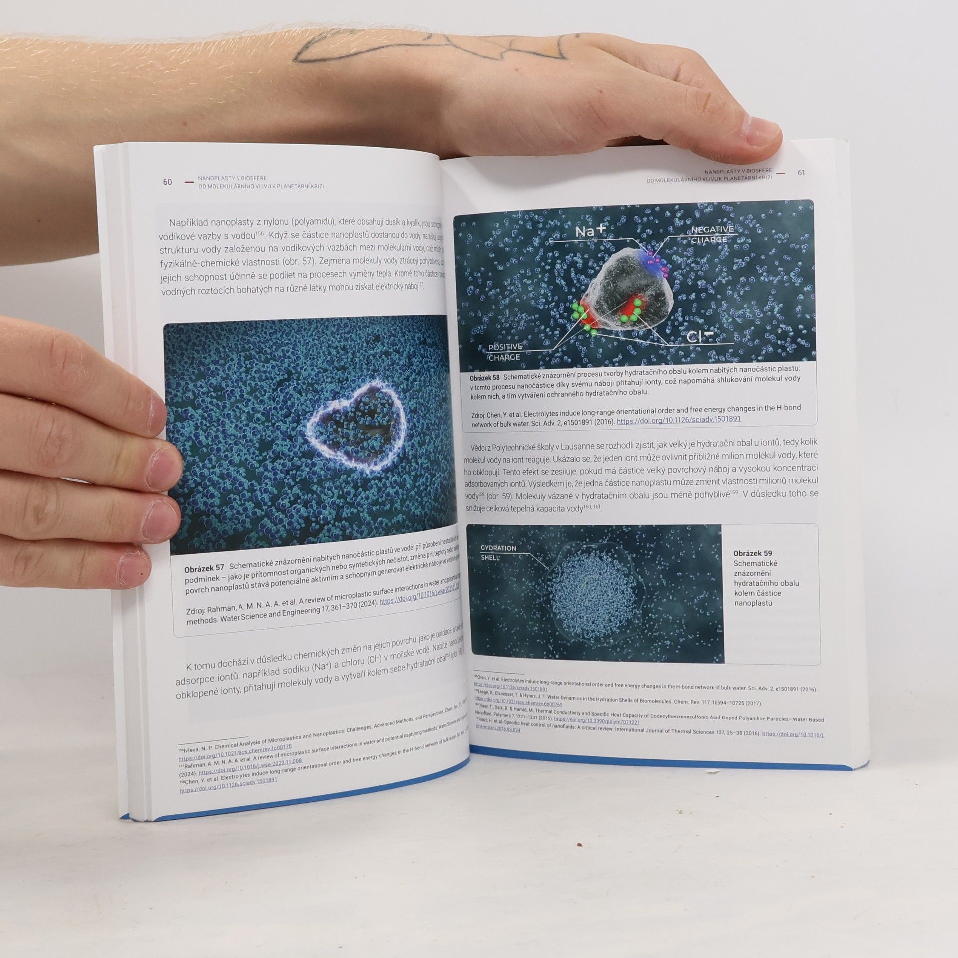 Mezinárodní společenské hnutí ALLATRA Nanoplasty v biosféře