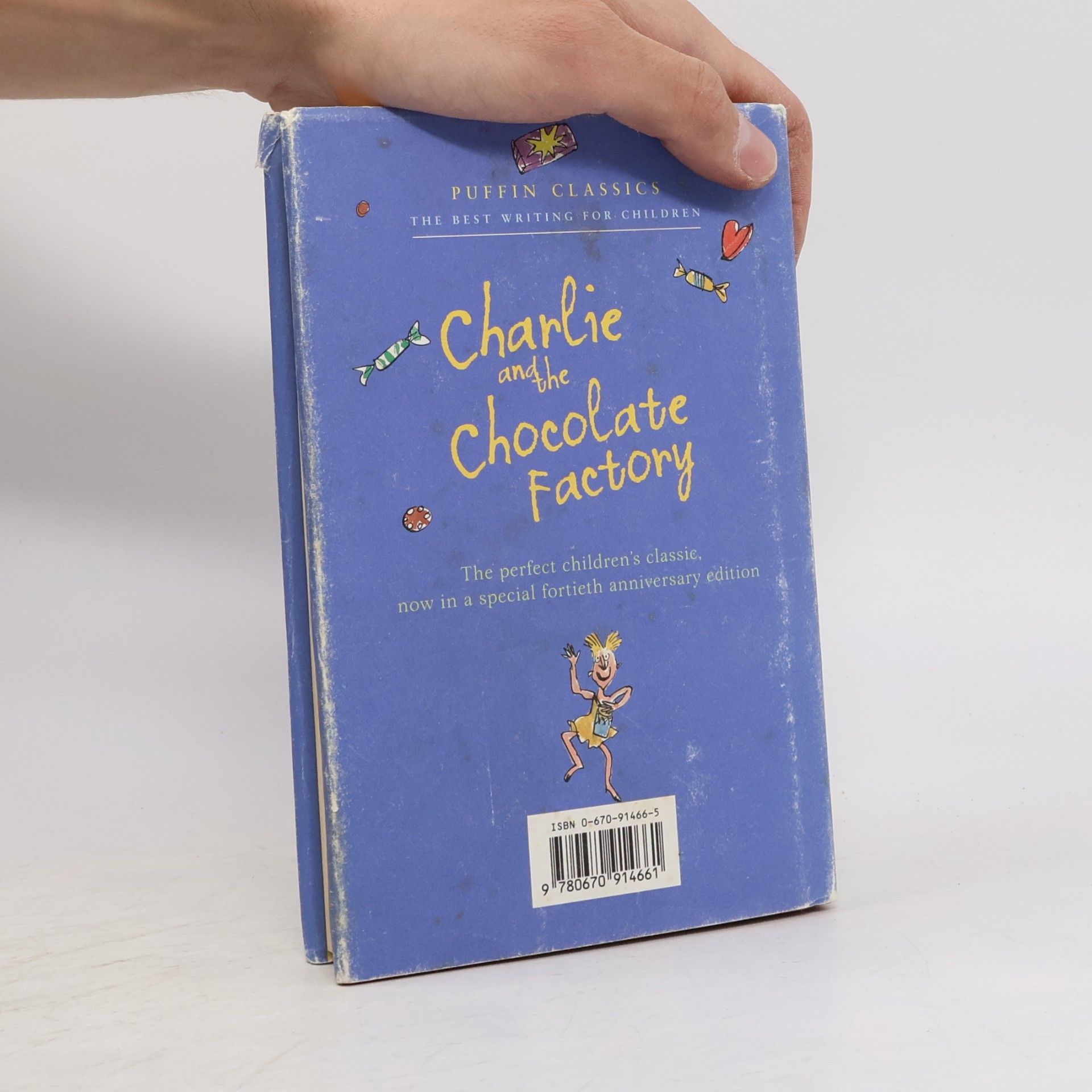 Roald Dahl Charlie and the Chocolate Factory