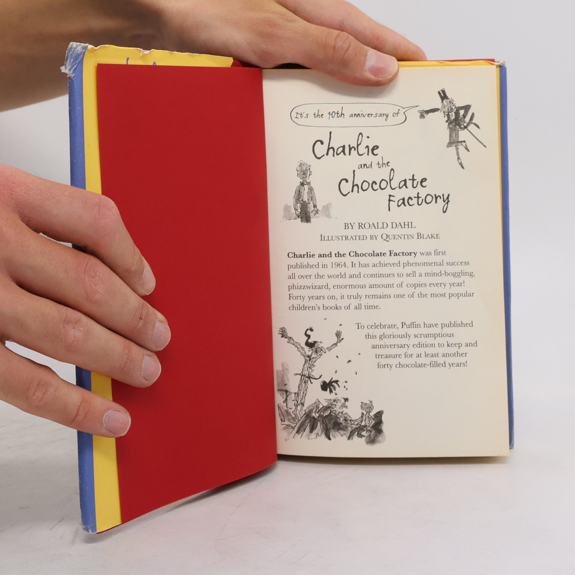 Roald Dahl Charlie and the Chocolate Factory