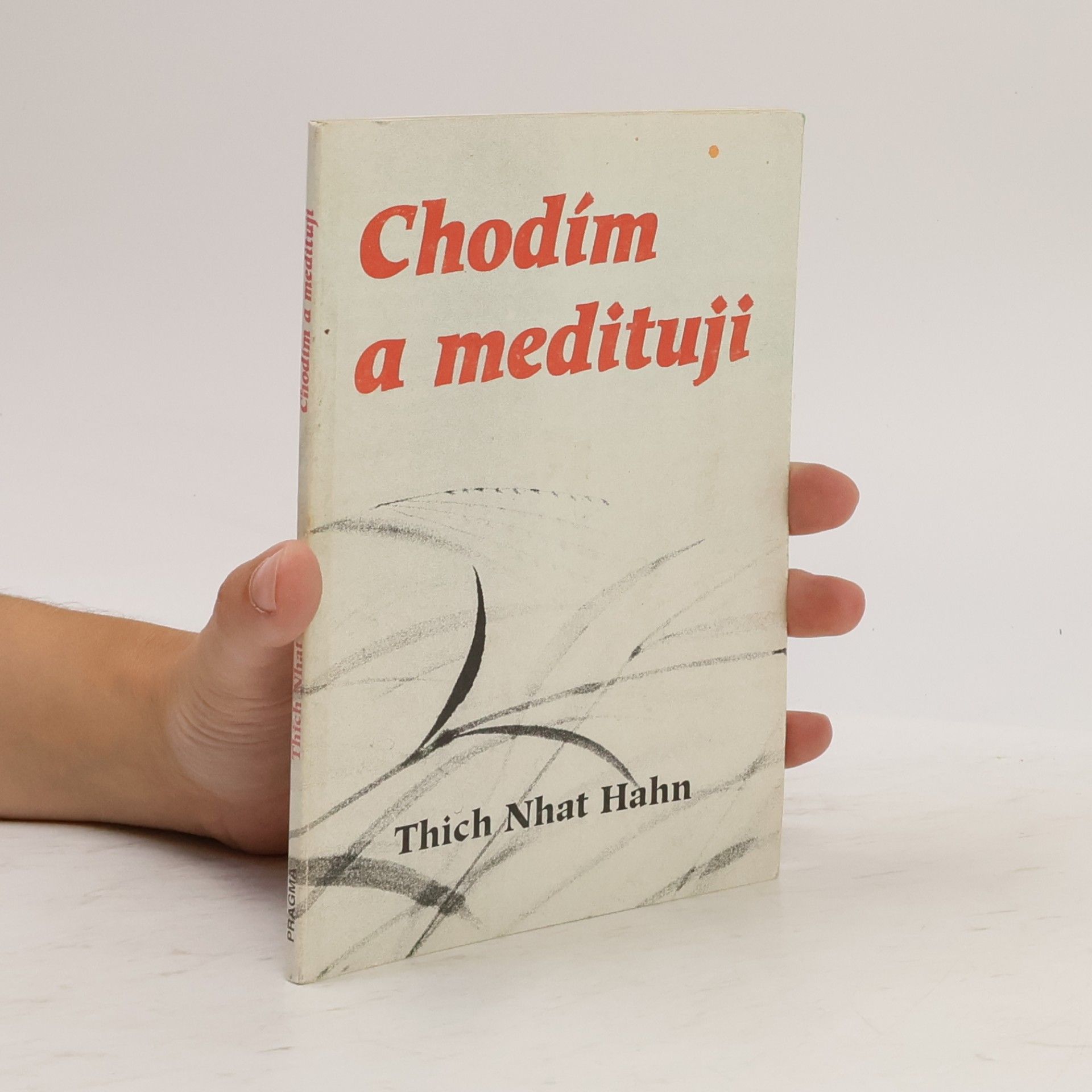 Hạnh Nhat Chodím a medituji