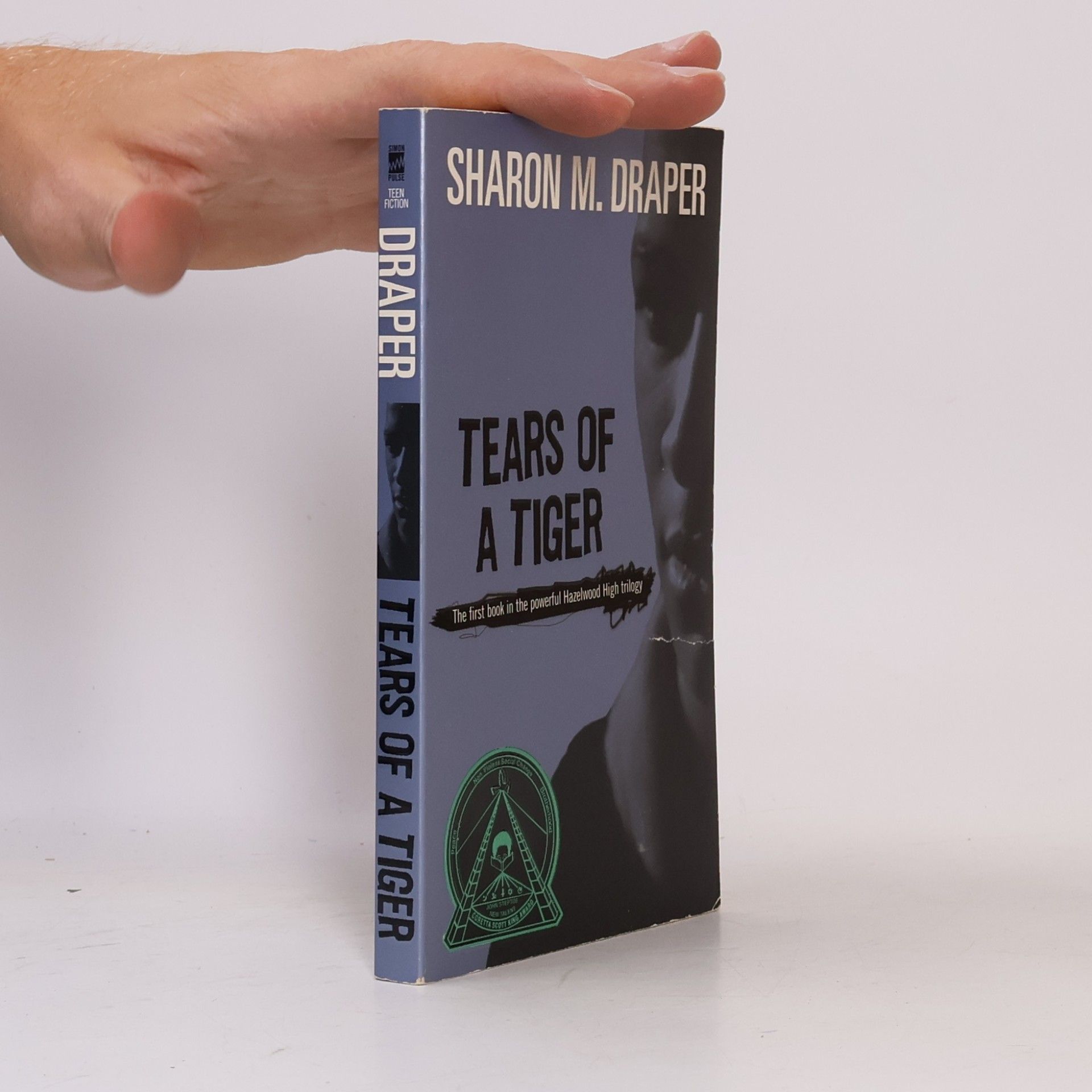 Sharon M. Draper Tears of a Tiger