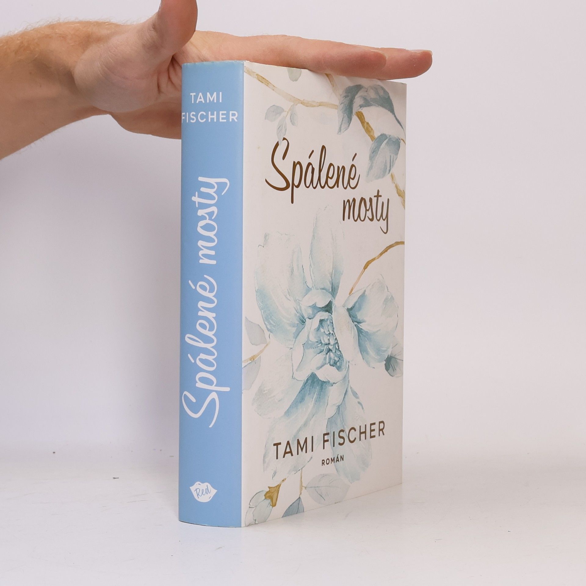 Tami Fischer Spálené mosty