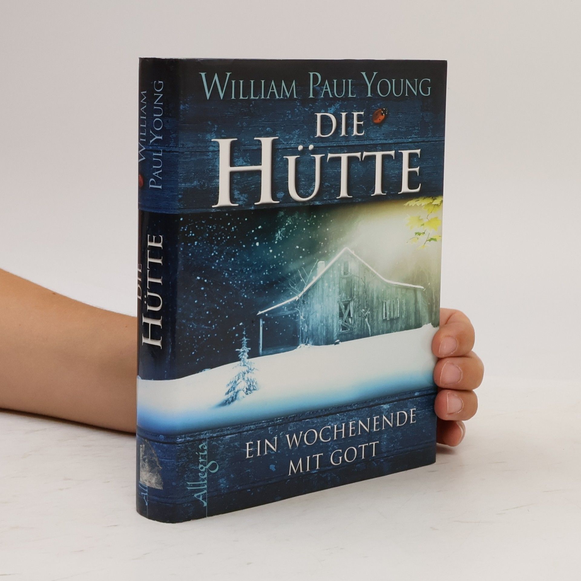 William P. Young Die Hütte