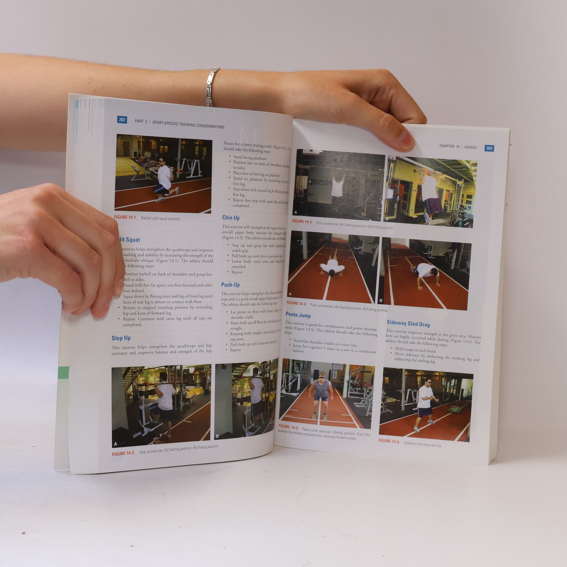 Craig Liebenson Functional Training Handbook