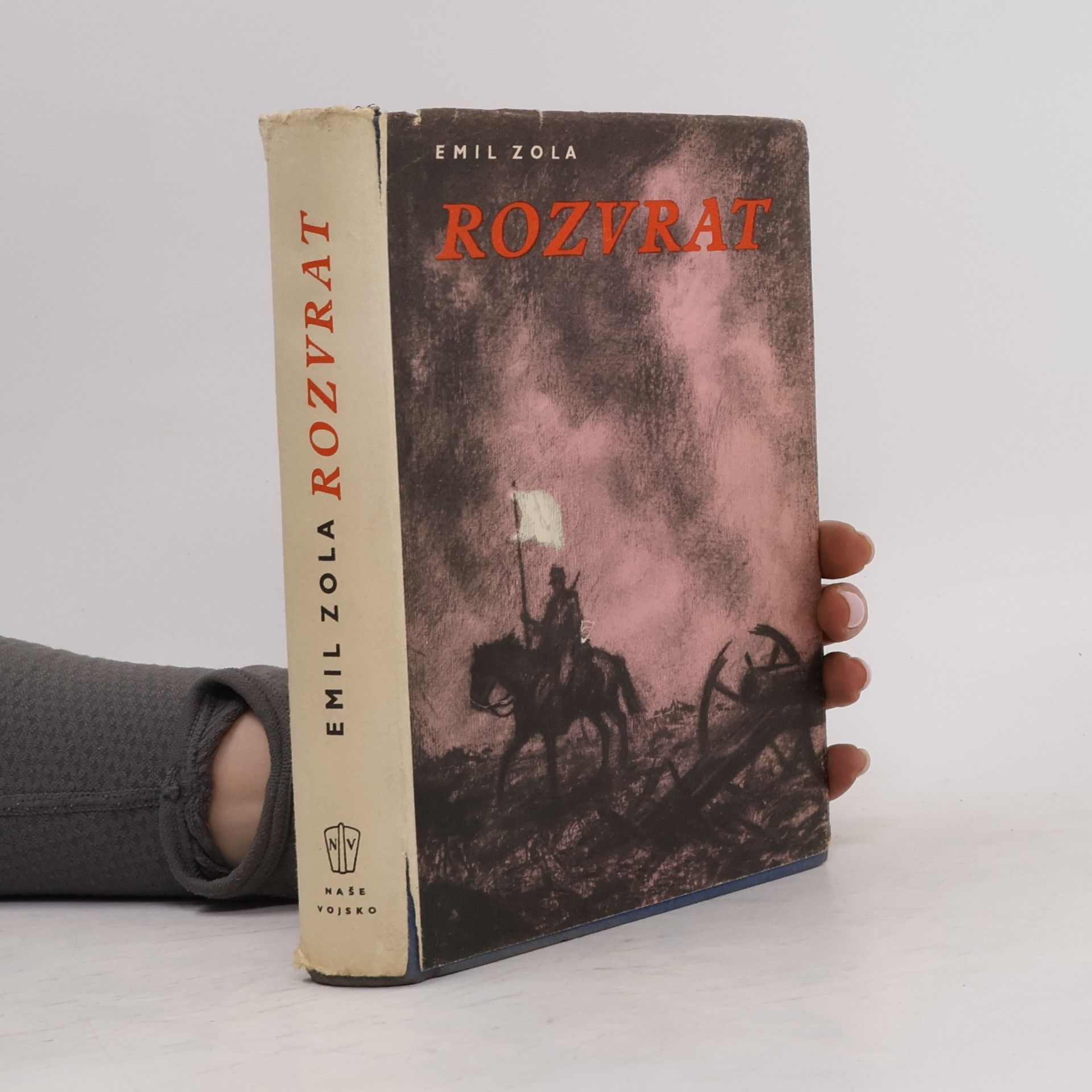Émile Zola Rozvrat
