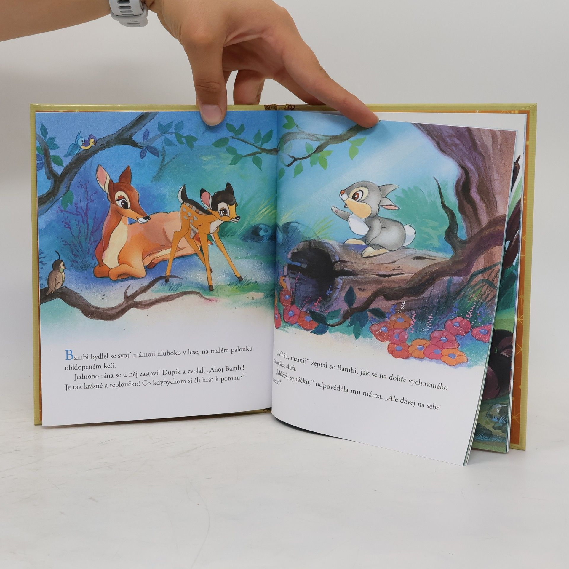 kolektiv Bambi a motýlek