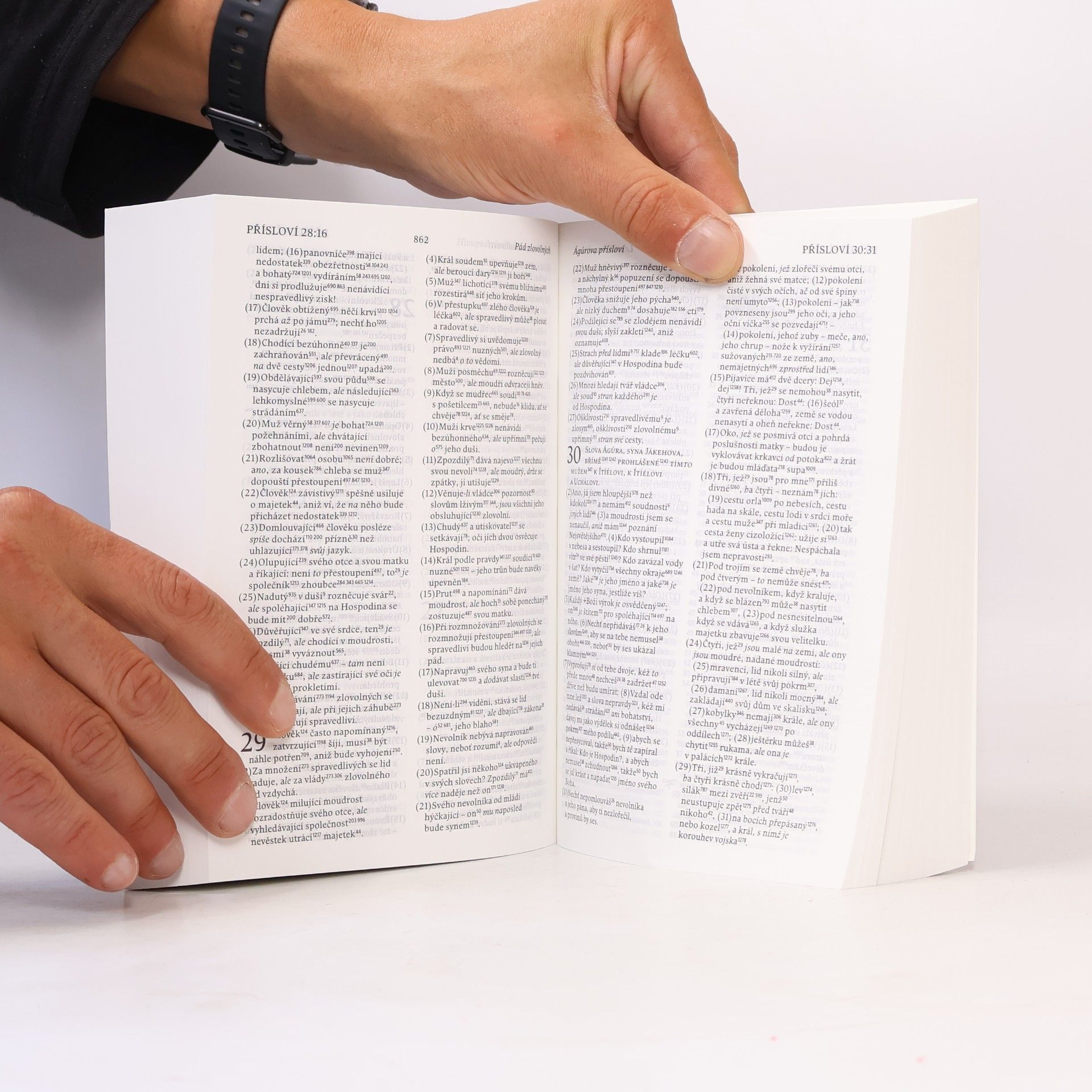 Miloš Pavlík Bible: Pavlíkův studijní překlad