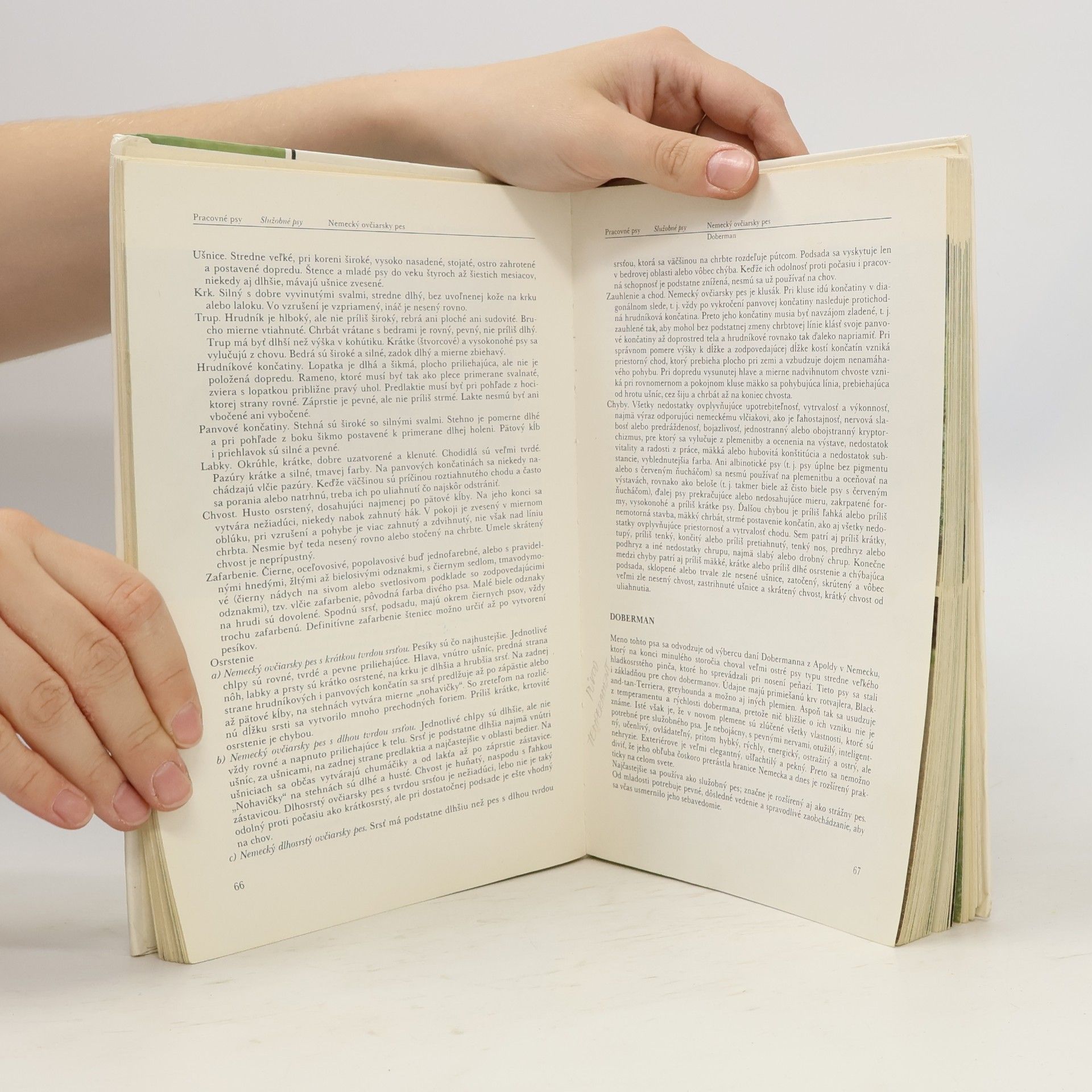 Diana Najmanová Atlas plemien psov