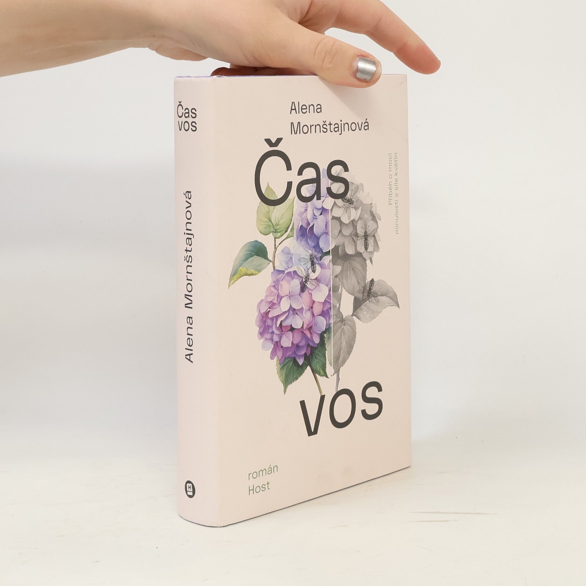 Alena Mornštajnová Čas vos
