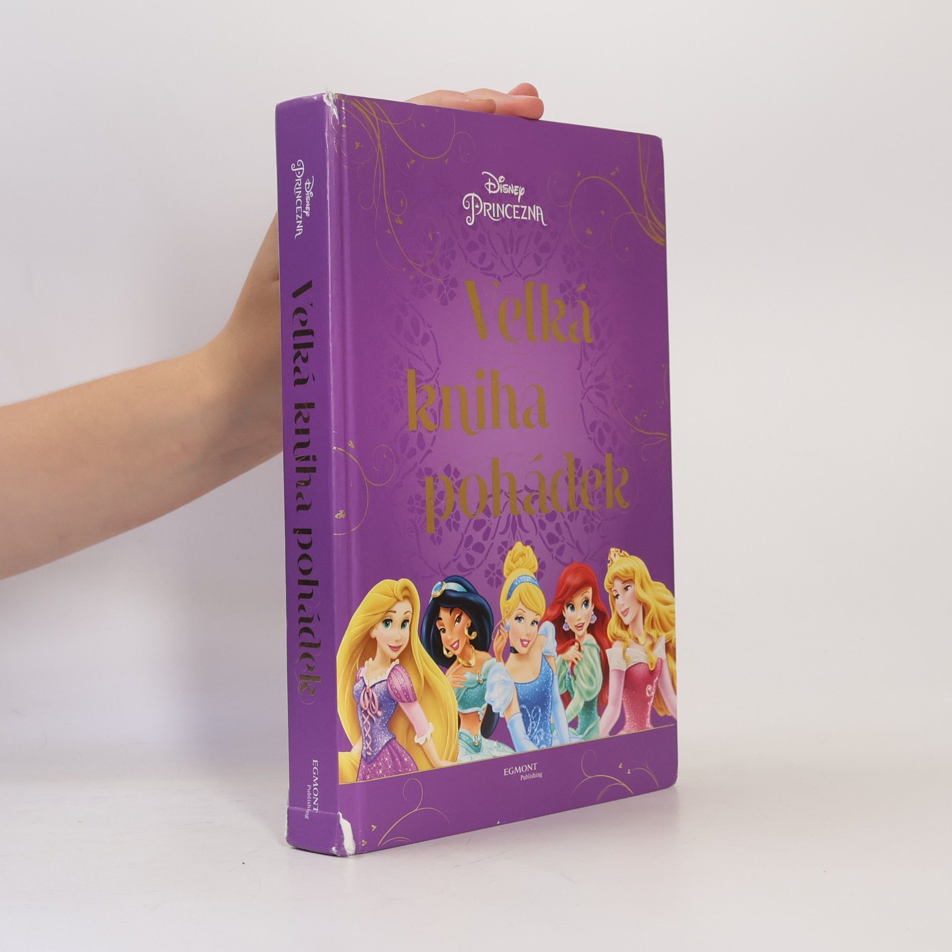 Walt Disney Princezna - velká kniha pohádek