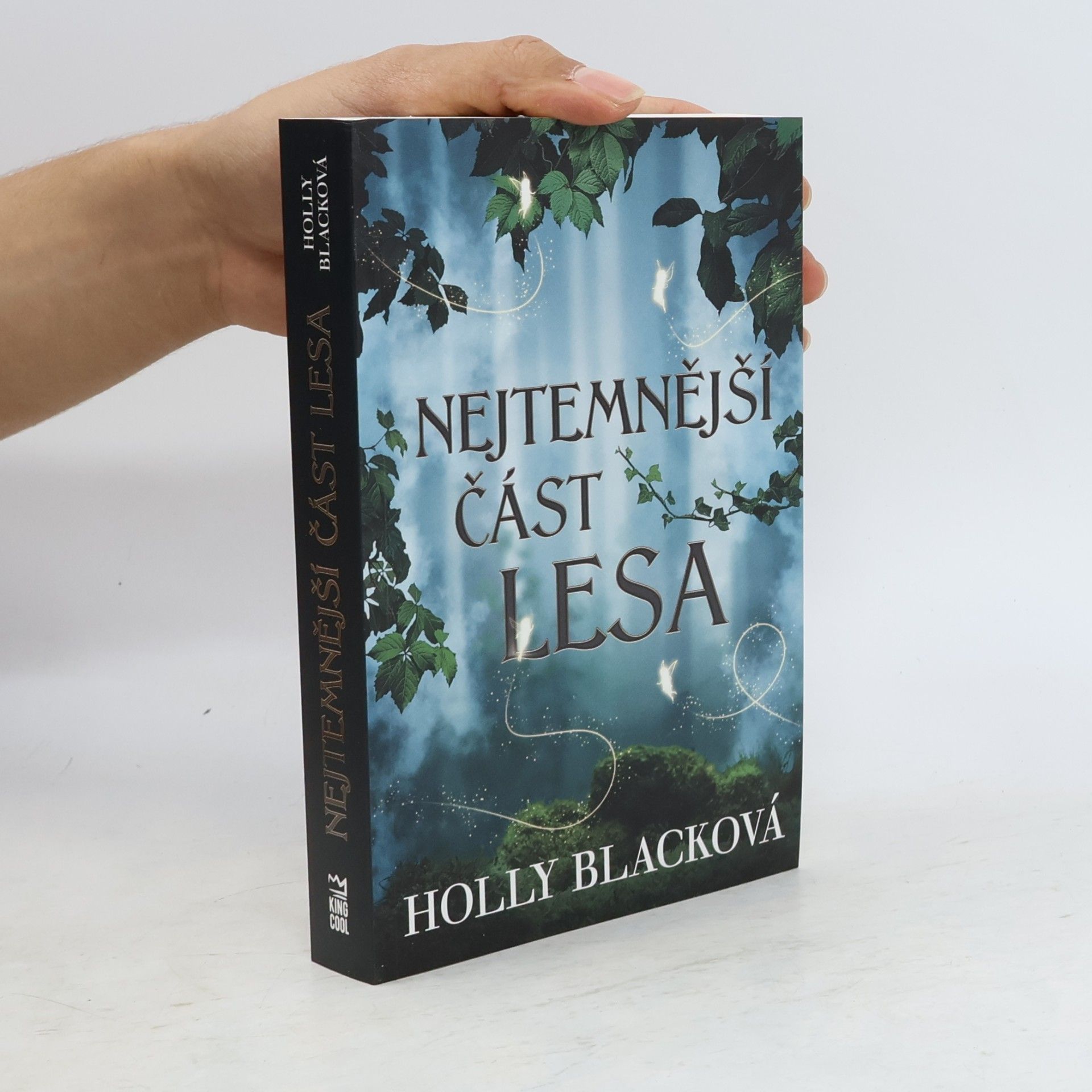 Holly Black Nejtemnější část lesa