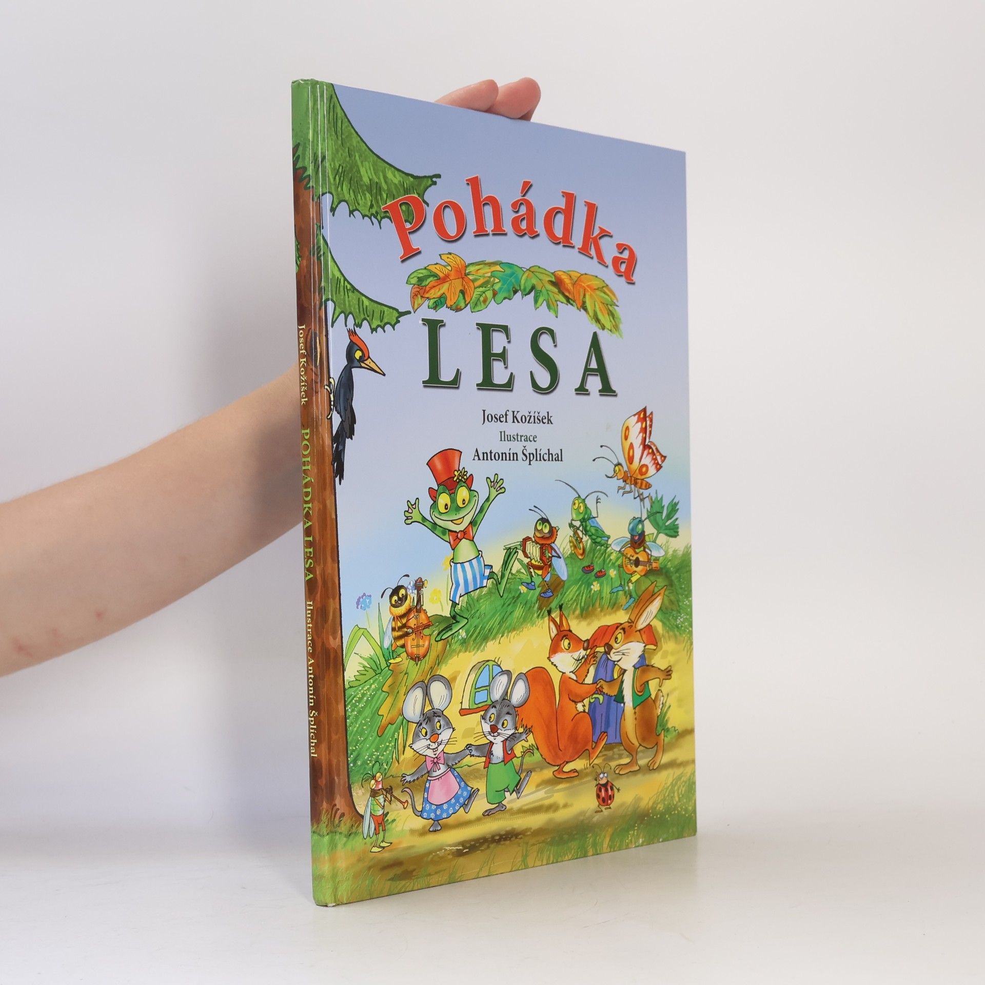 Josef Kožíšek Pohádka lesa