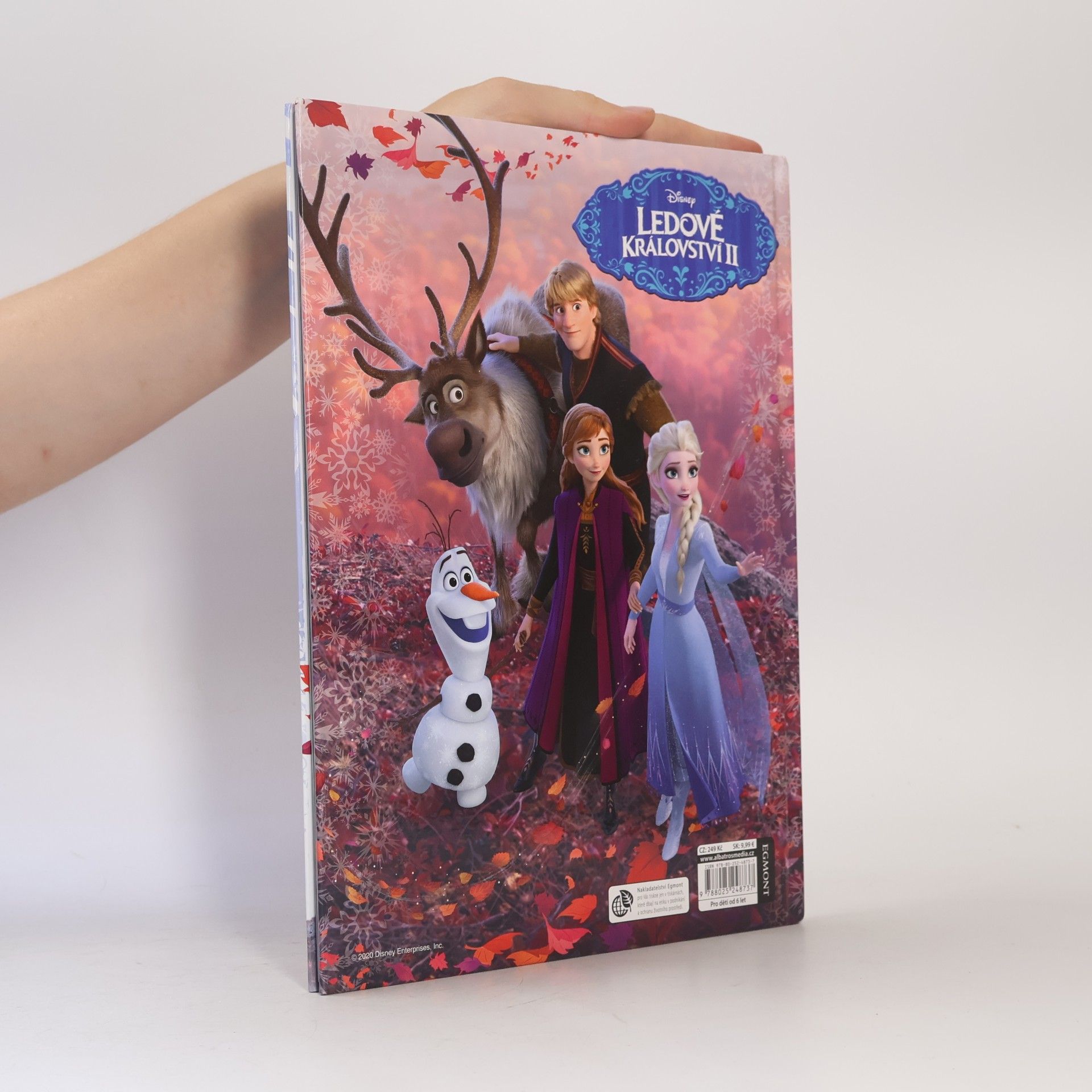 Laura Jackson Ledové království II. Knížka na celý rok