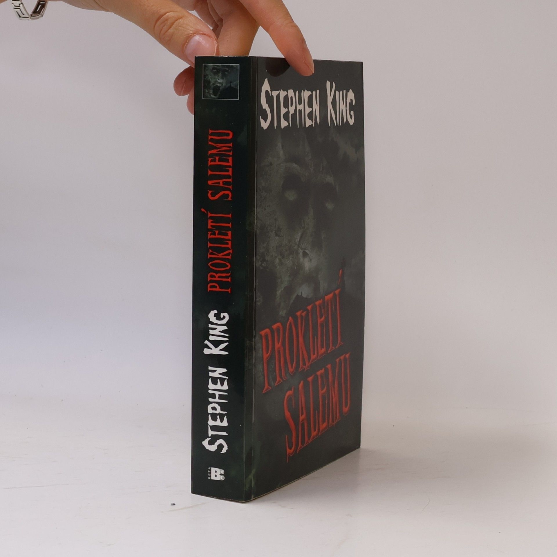 Stephen King Prokletí Salemu