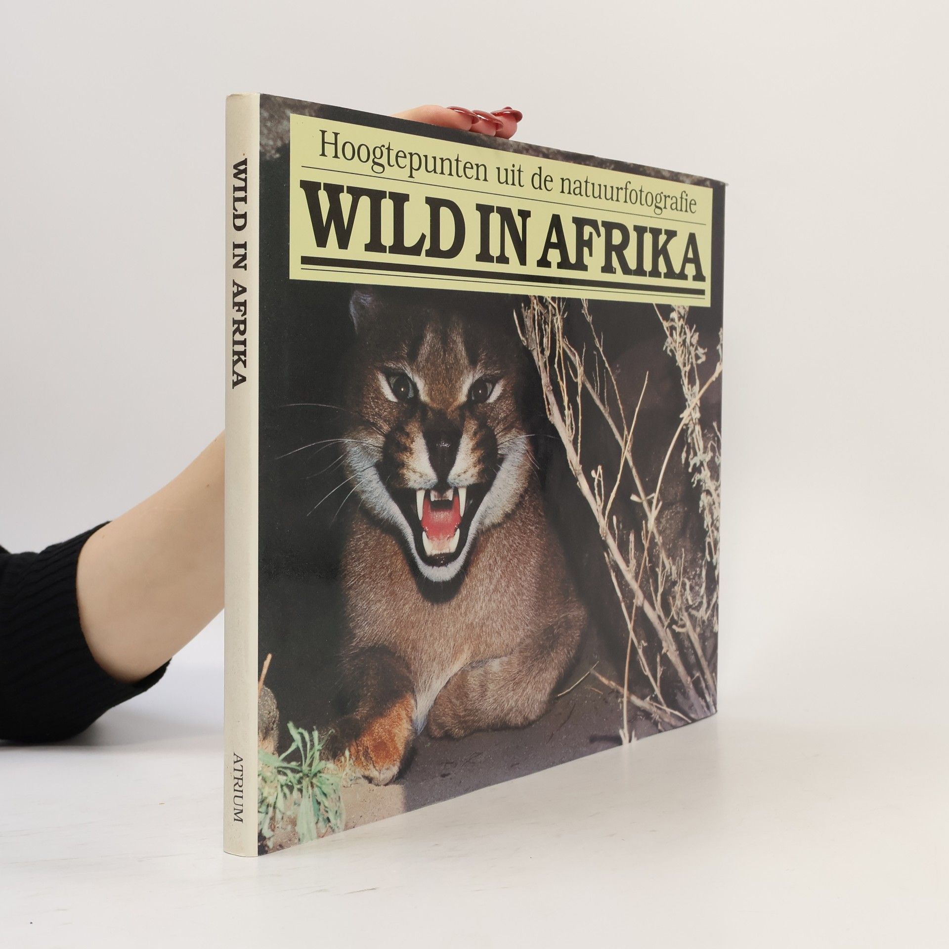 Collectif d'auteurs Wild in Afrika