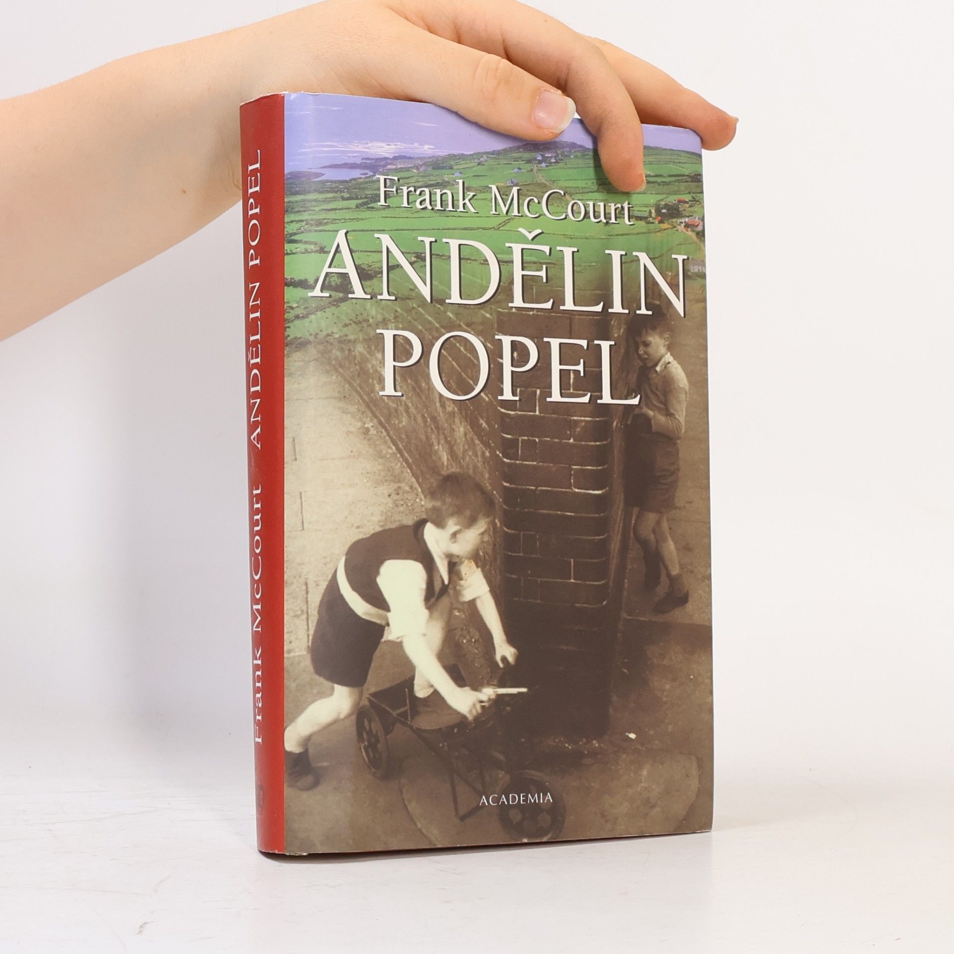 Frank McCourt Andělin popel