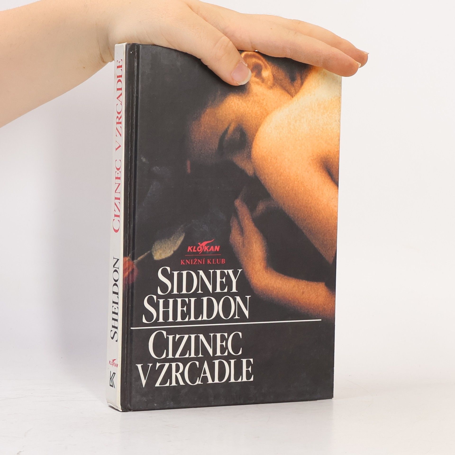 Sidney Sheldon Cizinec v zrcadle