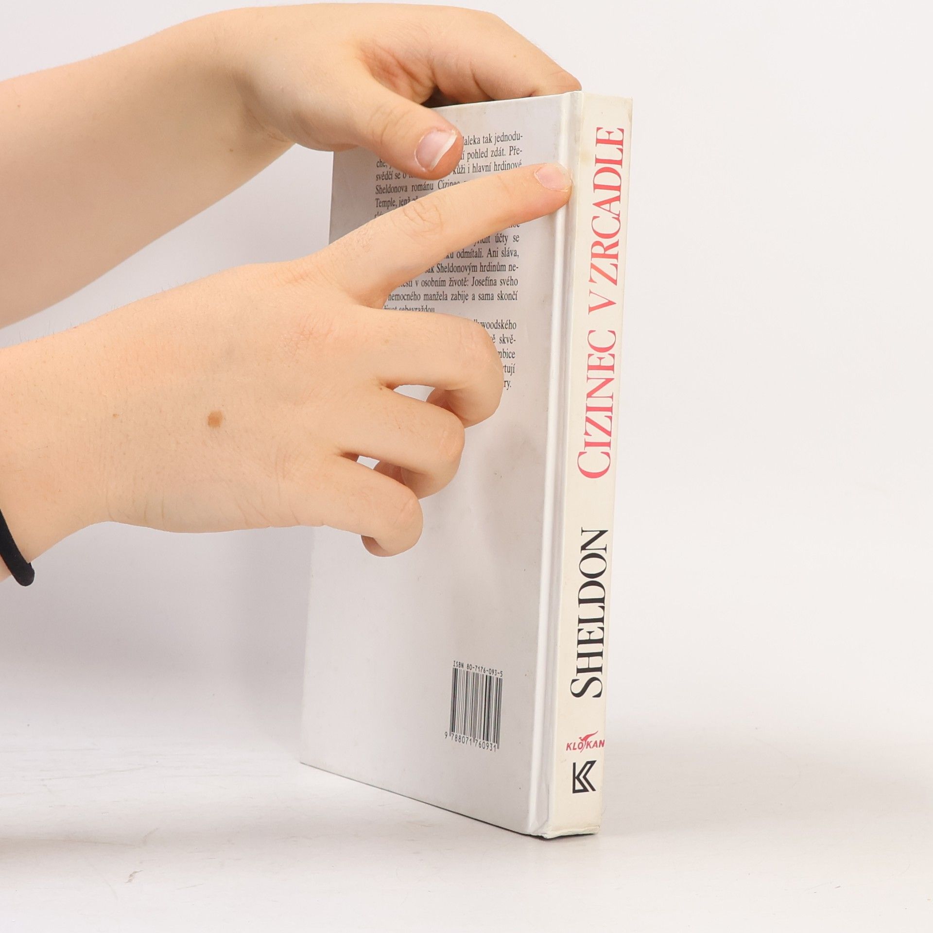Sidney Sheldon Cizinec v zrcadle