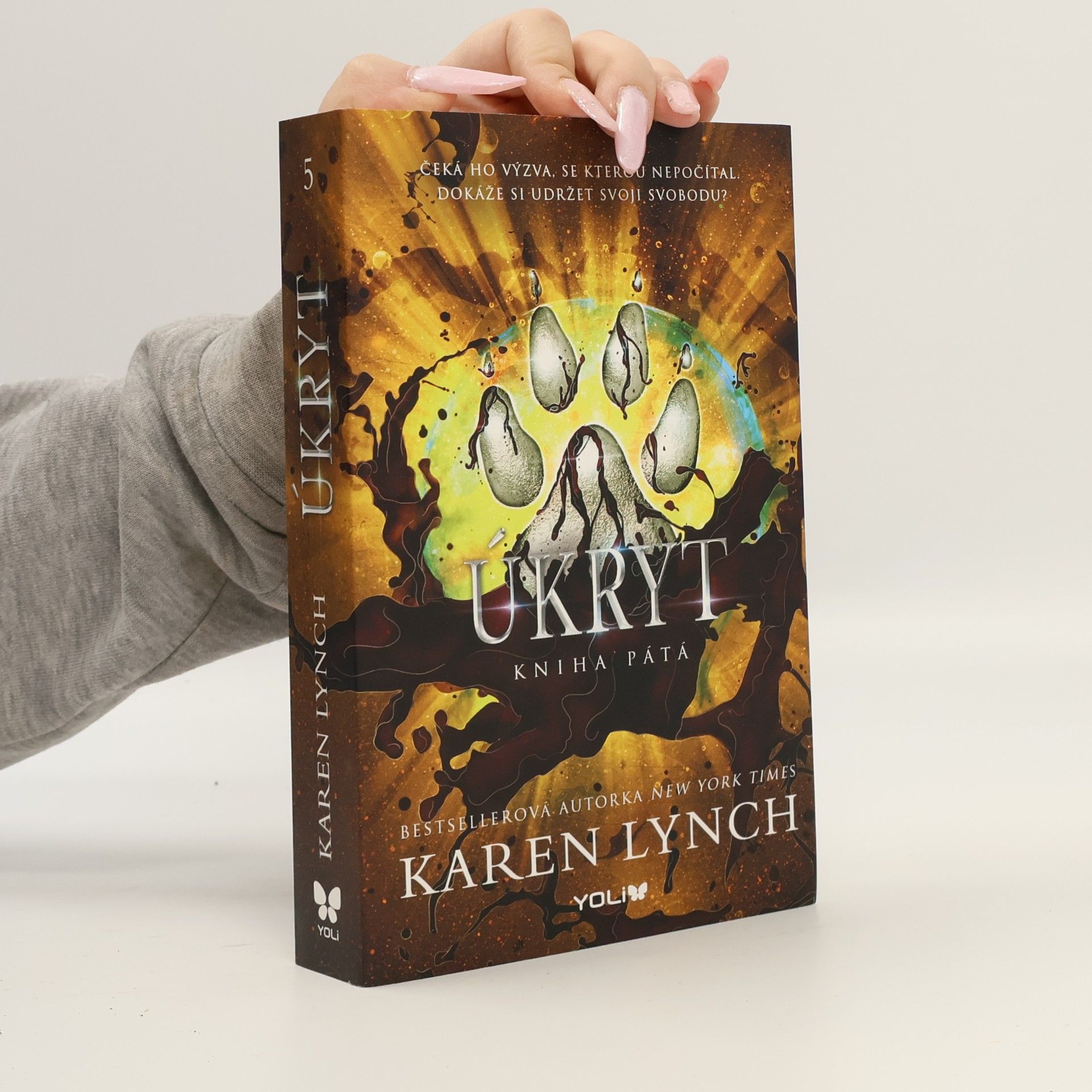 Karen A. Lynch Úkryt