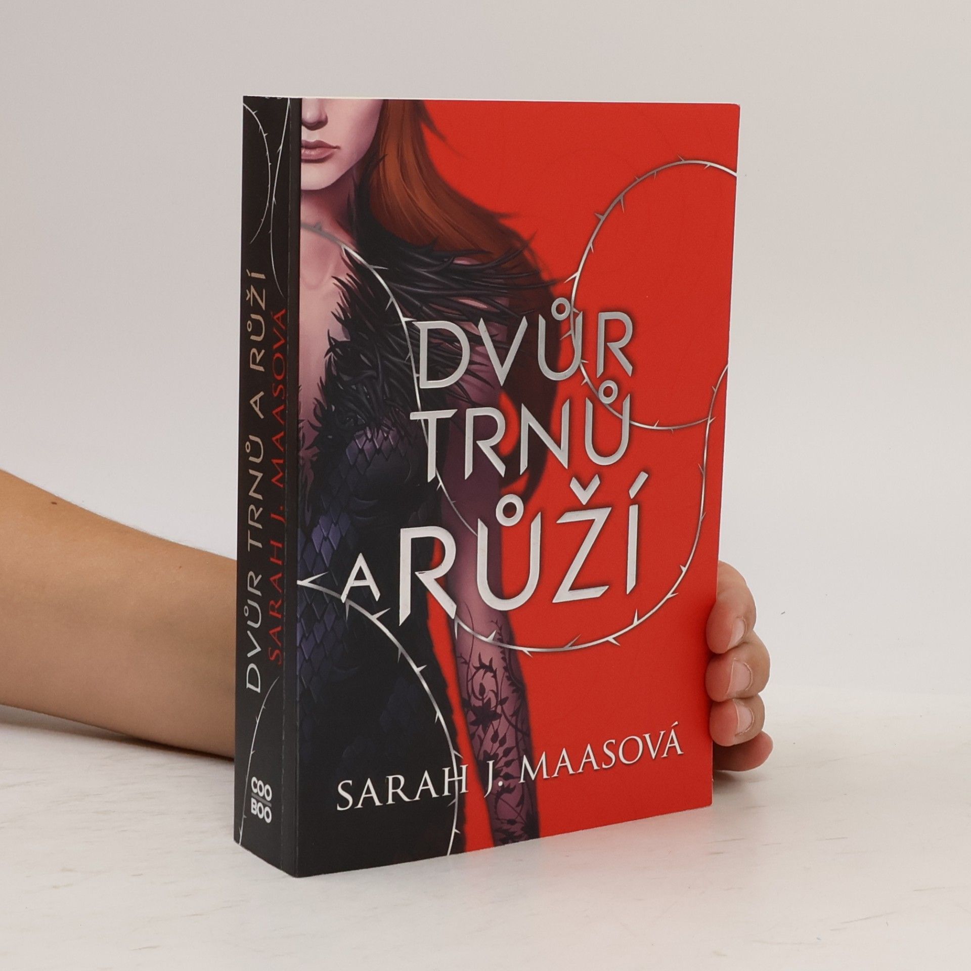 Sarah J. Maas Dvůr trnů a růží
