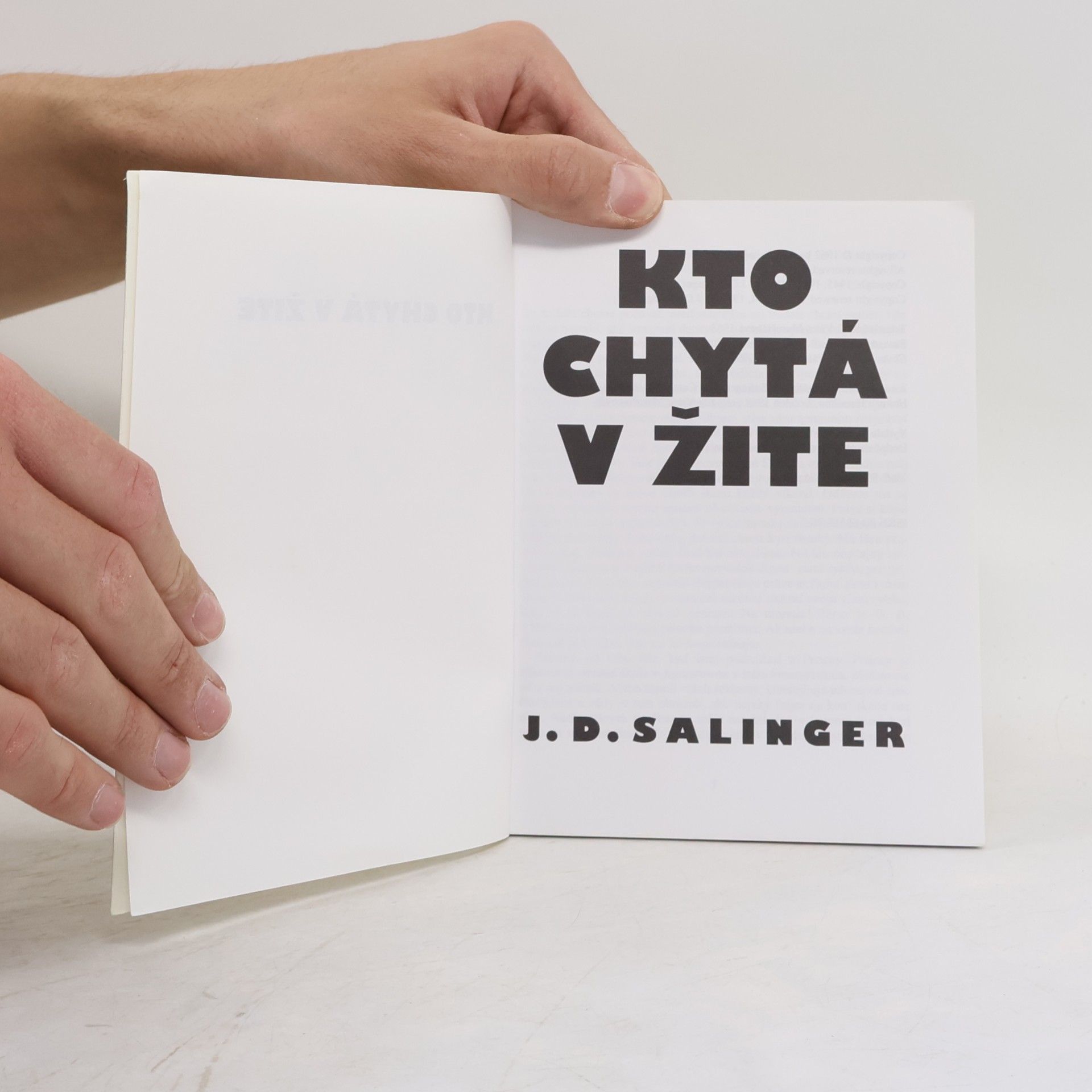 J. D. Salinger Kto chytá v žite