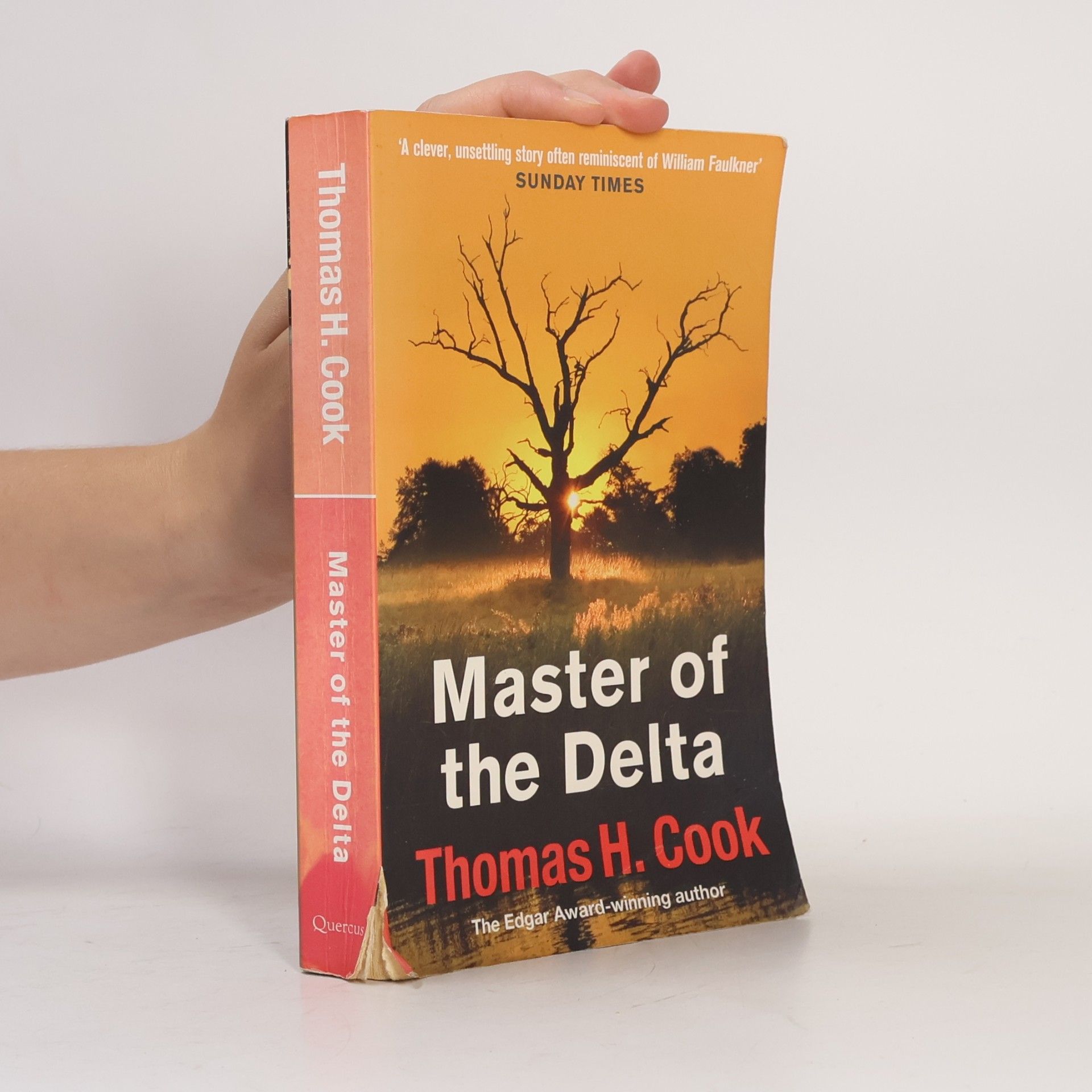 Thomas H. Cook Master of the Delta