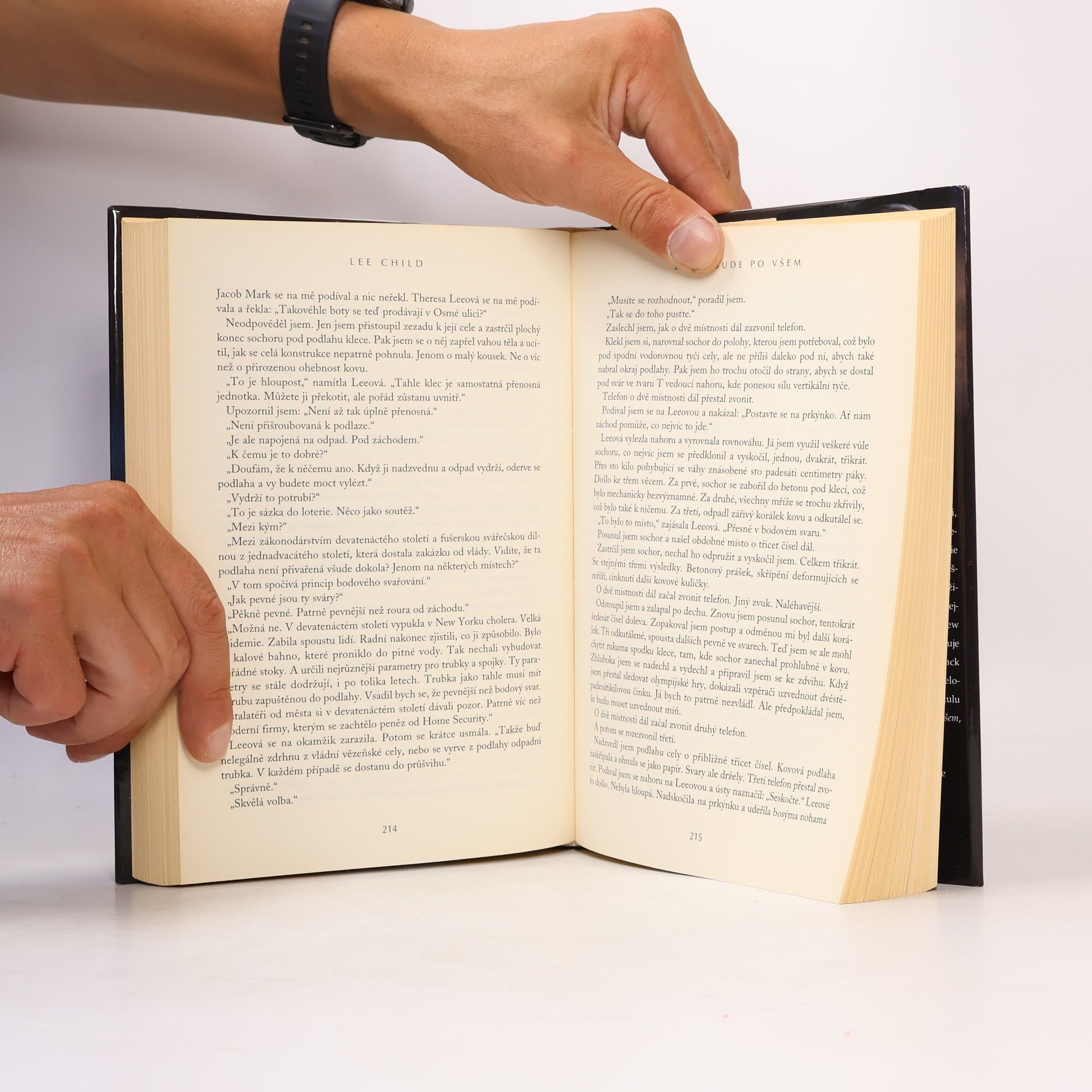 Lee Child Zítra bude po všem