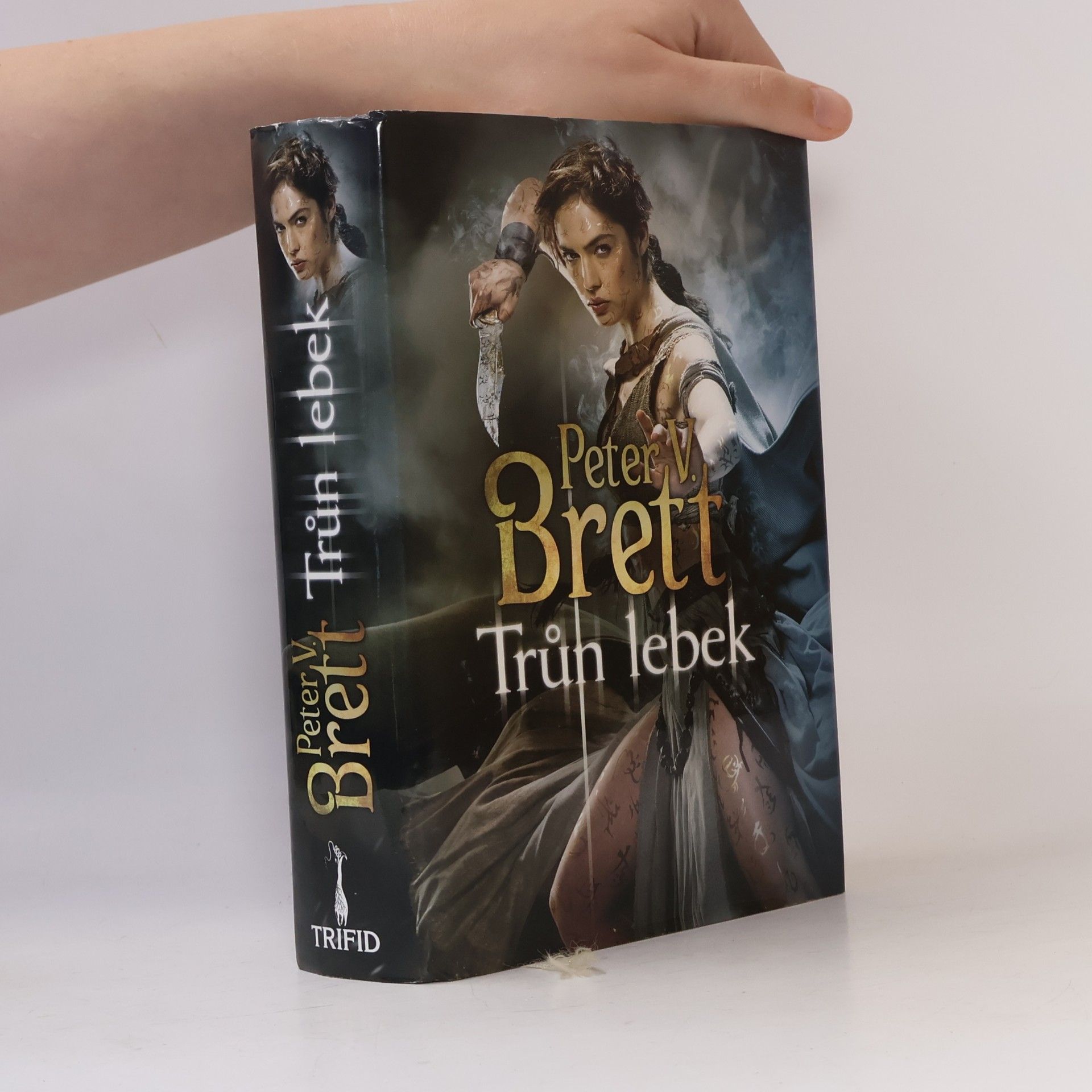 Peter V. Brett Trůn lebek