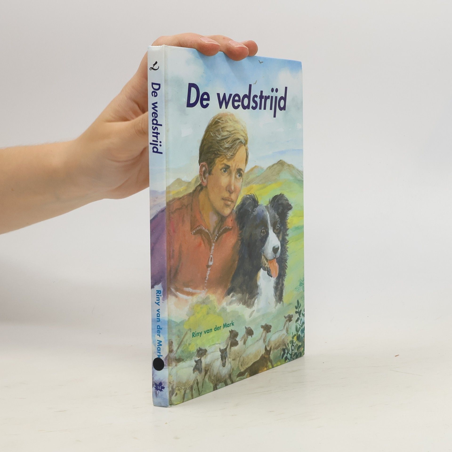 De wedstrijd