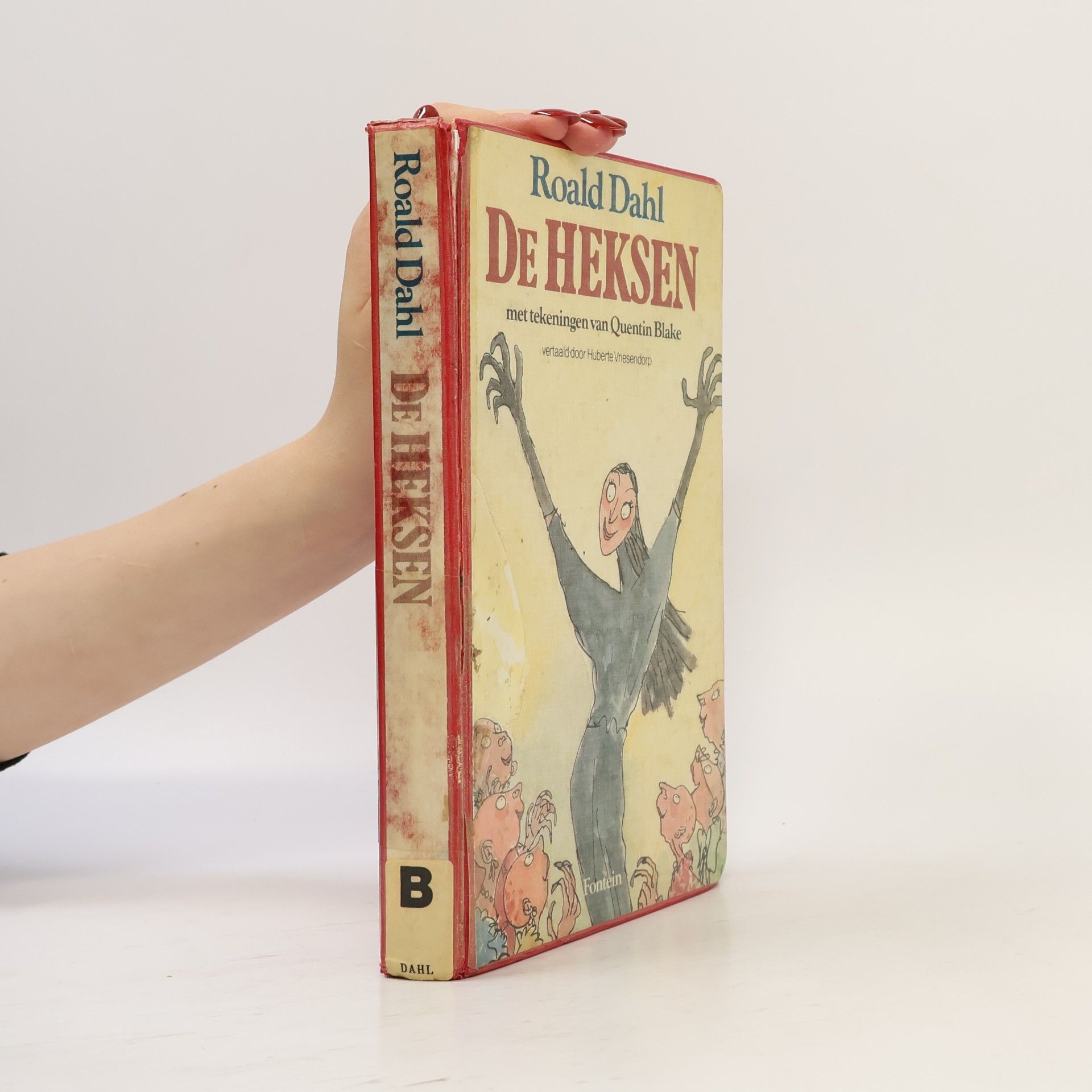 Roald Dahl De Heksen