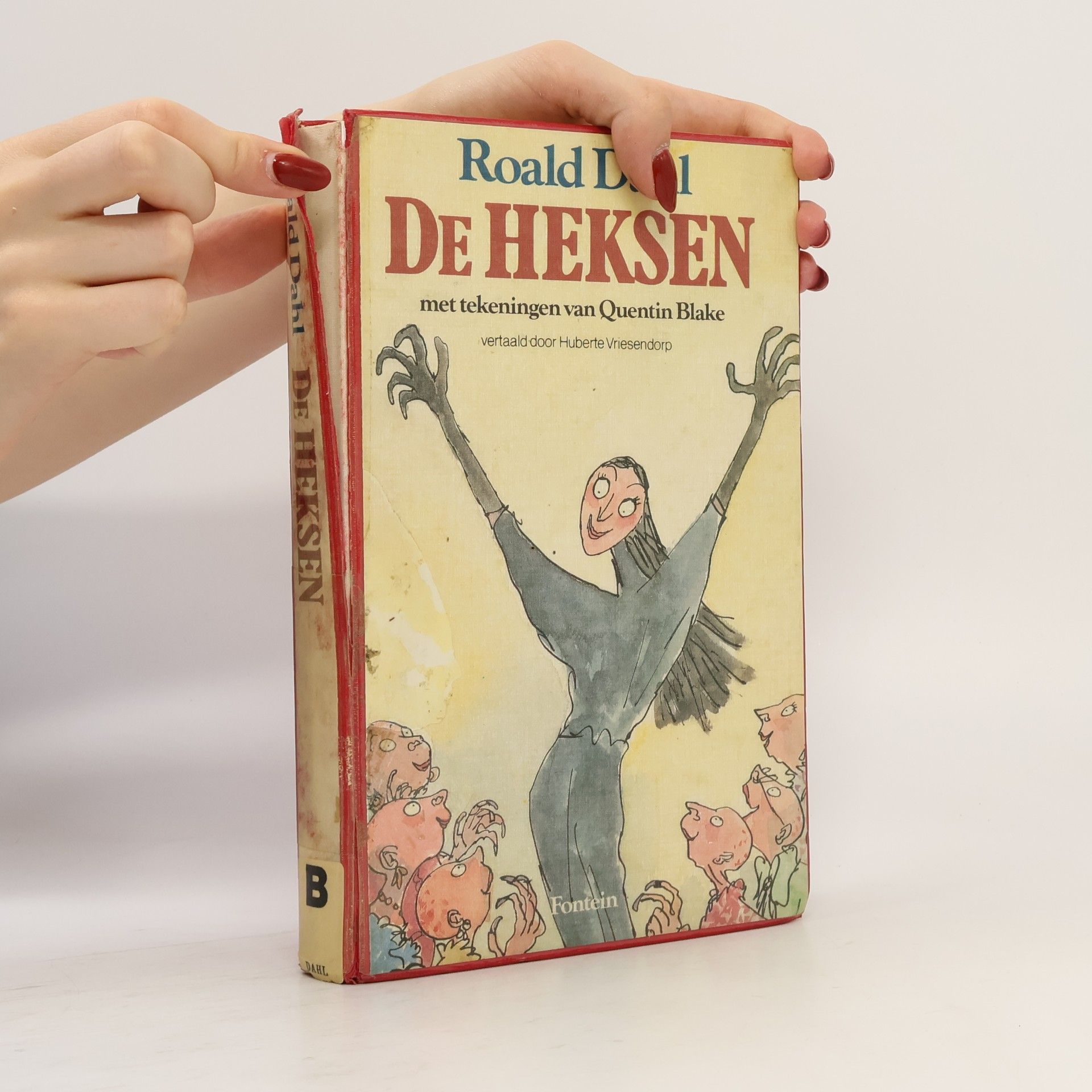 Roald Dahl De Heksen