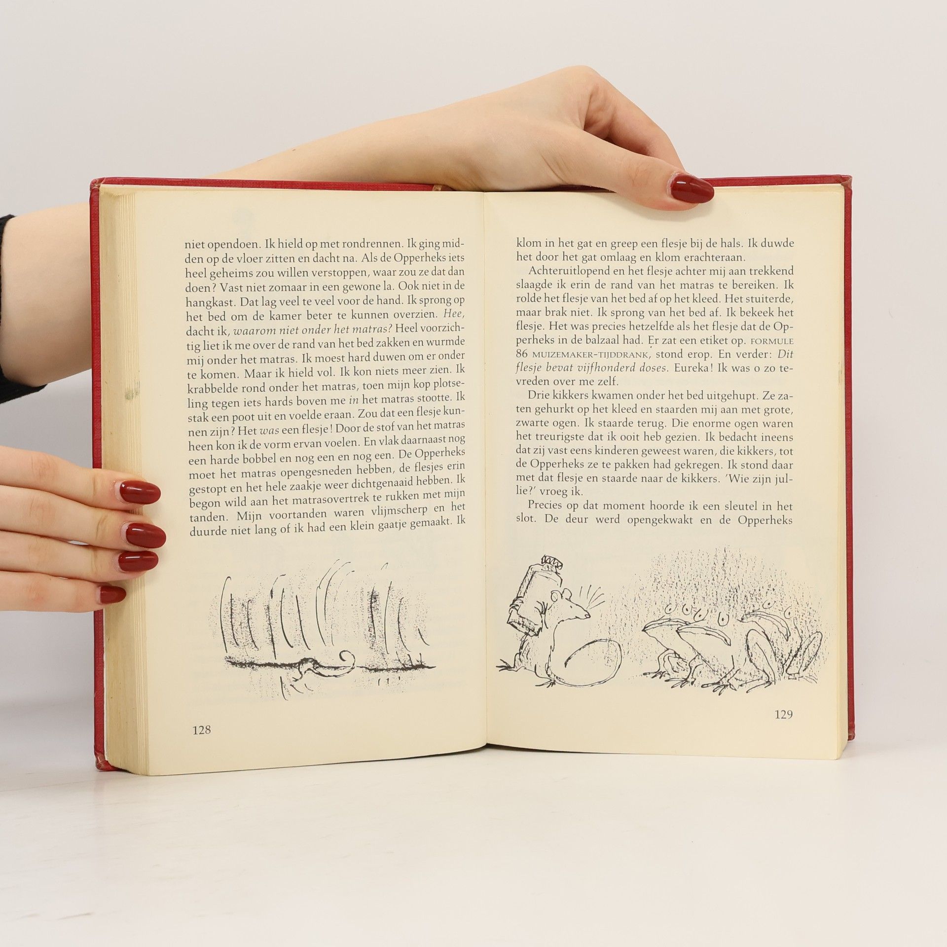 Roald Dahl De Heksen