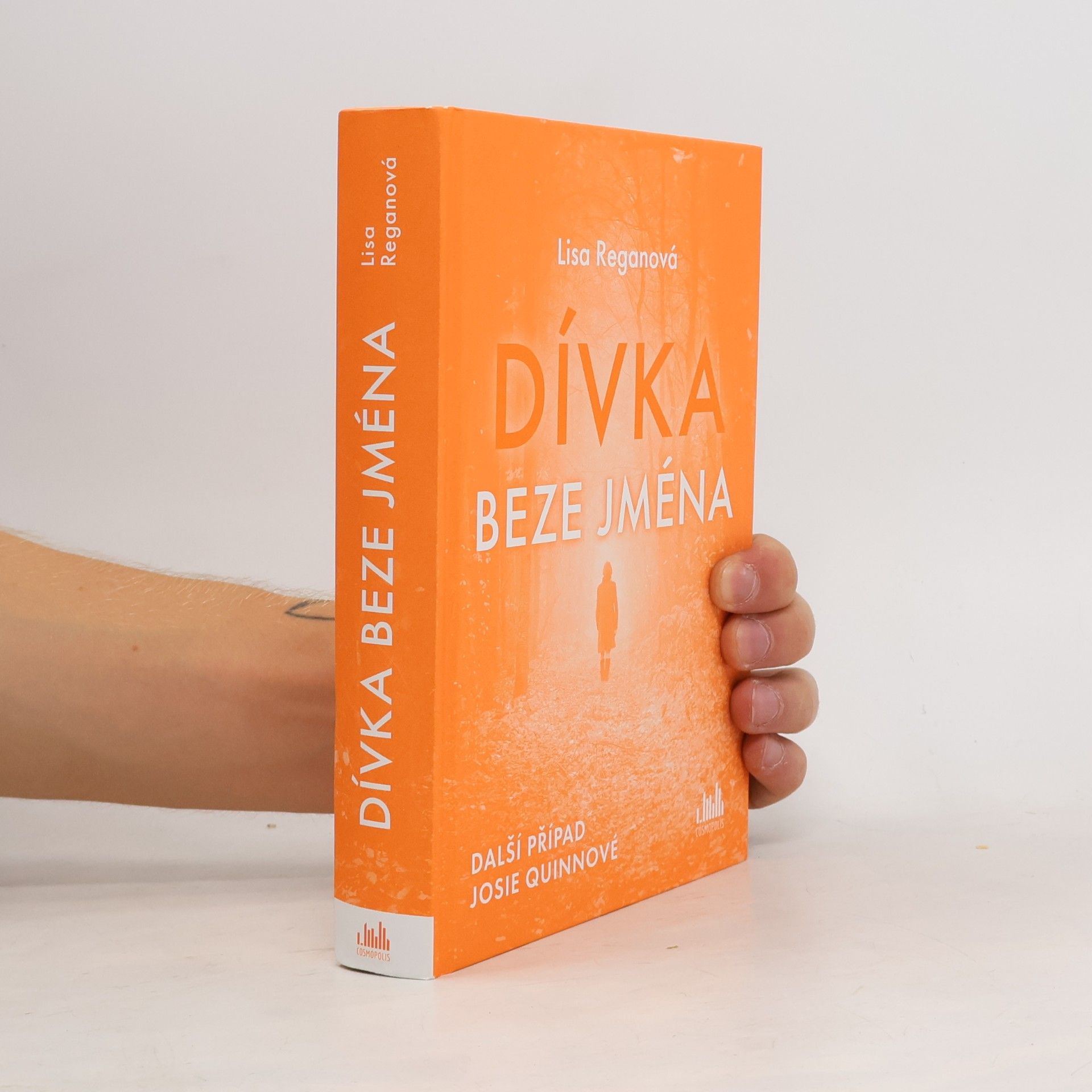 Lisa Regan Dívka beze jména: Další případ Josie Quinnové