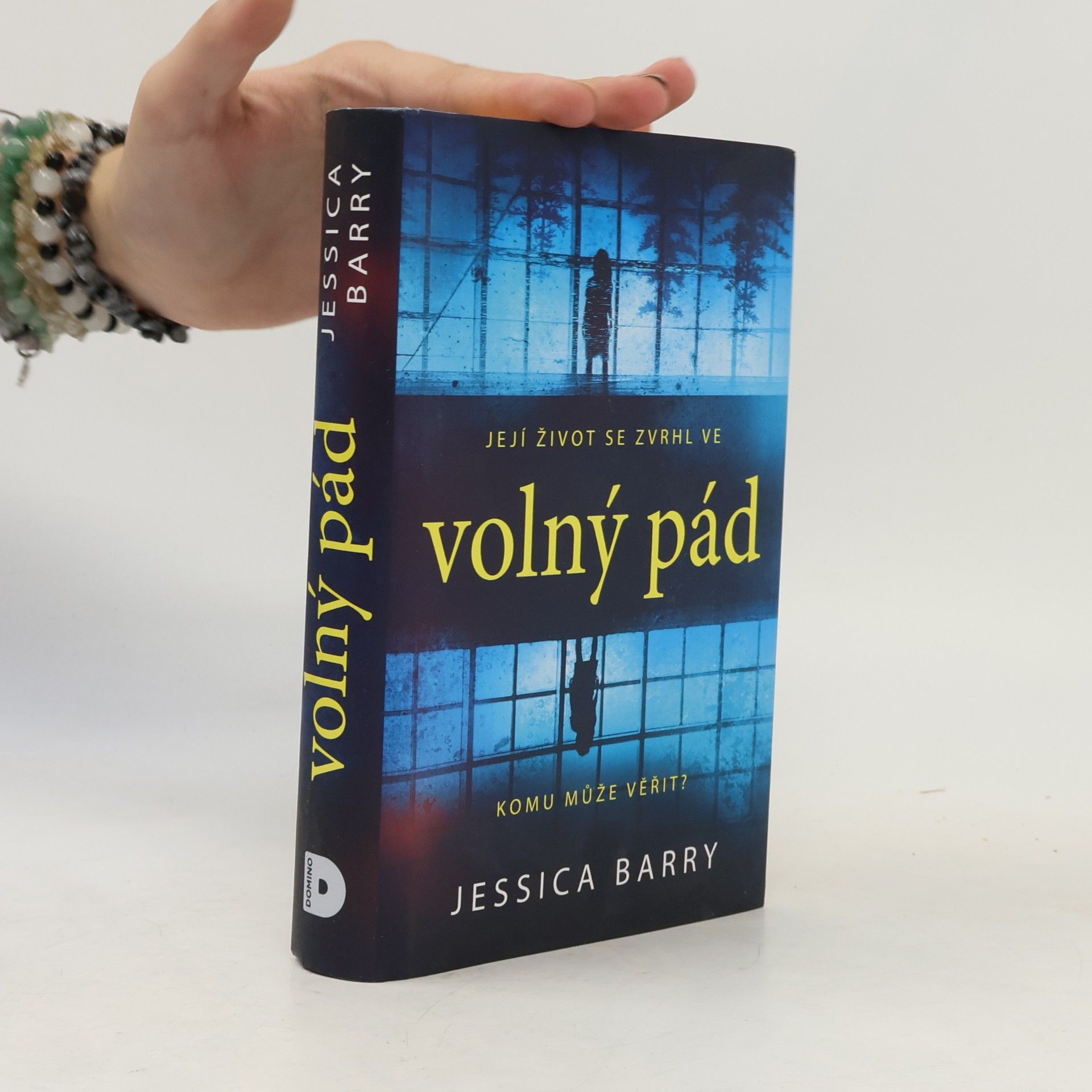 Jessica Barry Volný pád