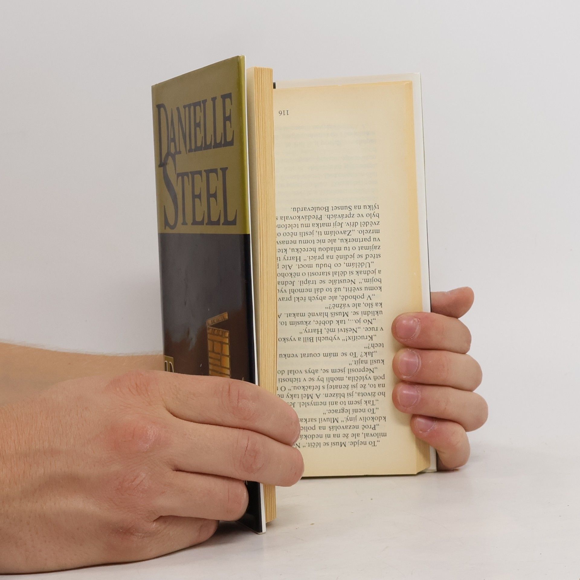 Danielle Steel Tajemství