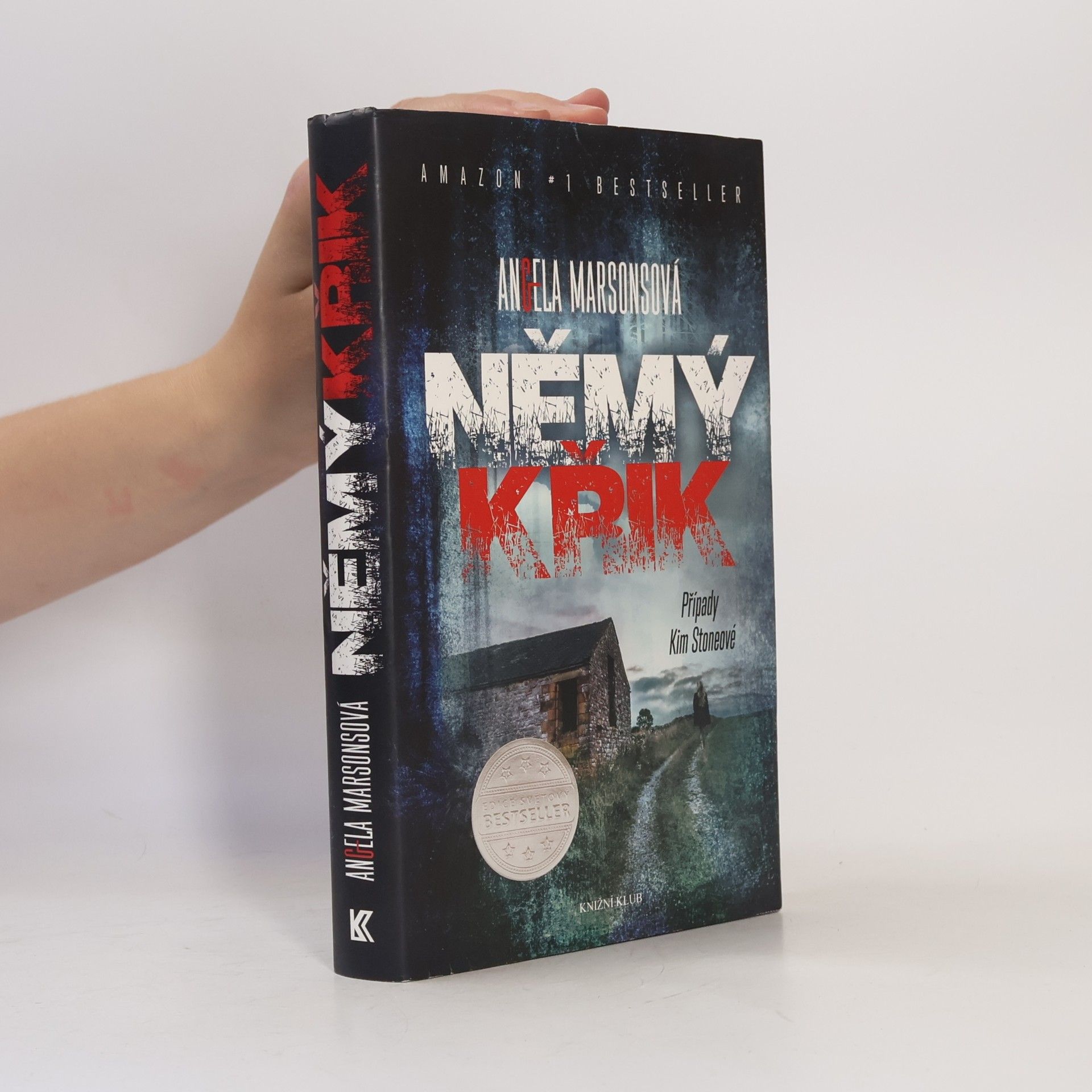 Angela Marsons Němý křik