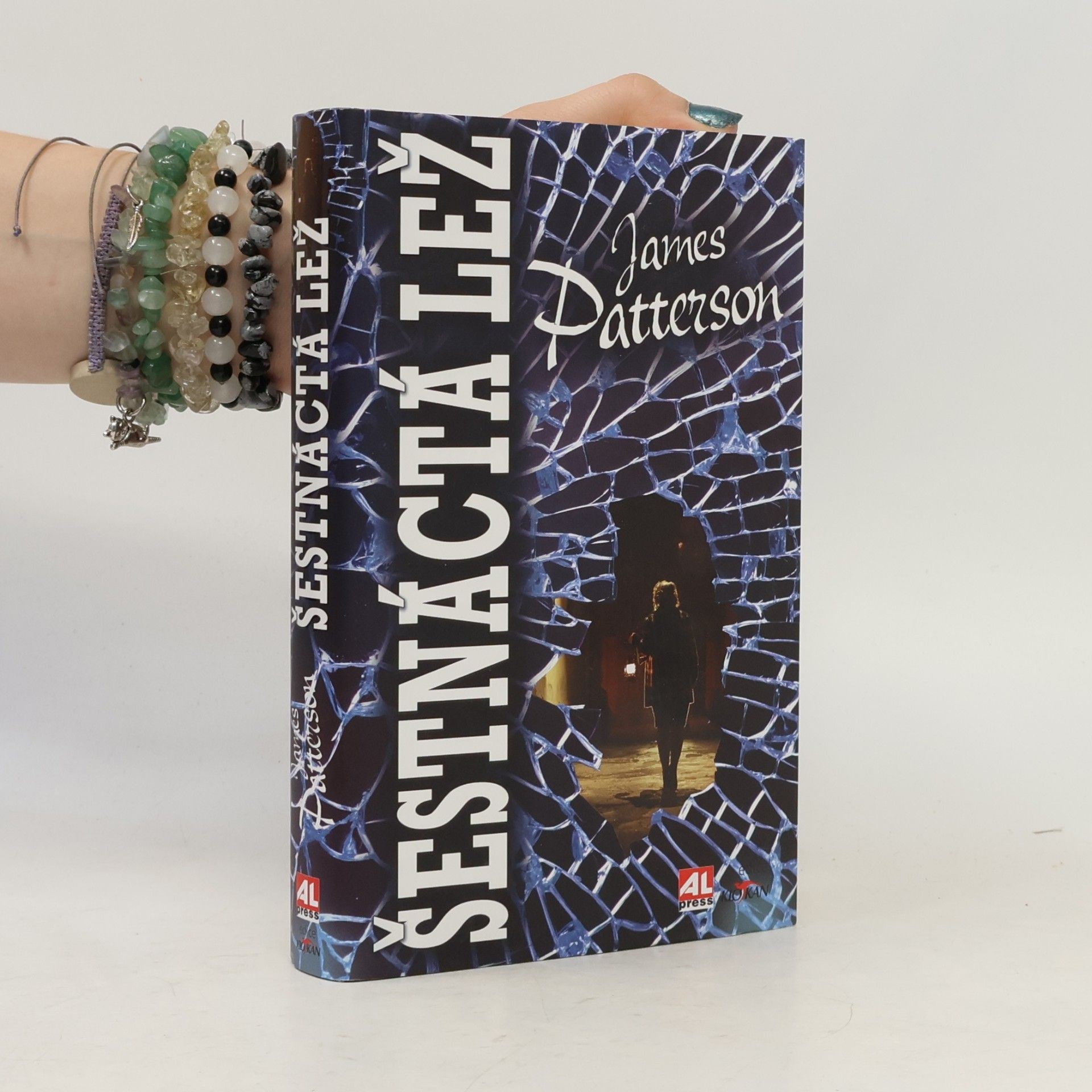 James Patterson Šestnáctá lež