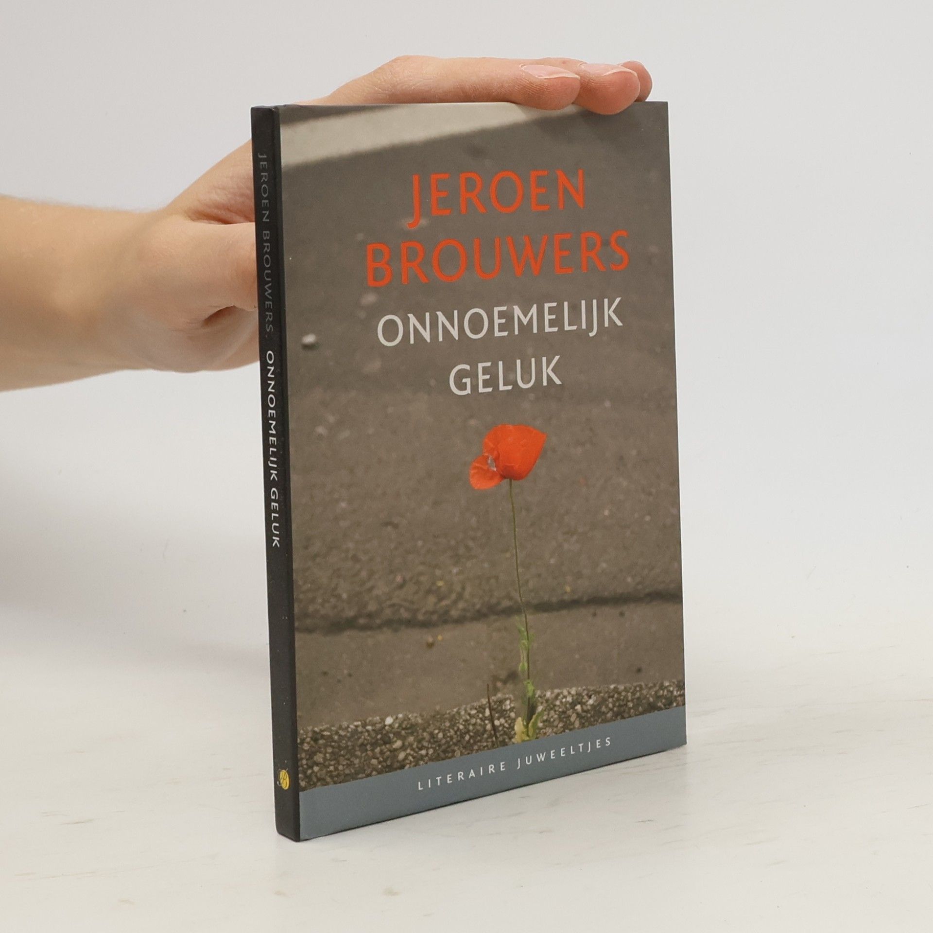 Jeroen Godfried Marie Brouwers Onnoemelijk geluk
